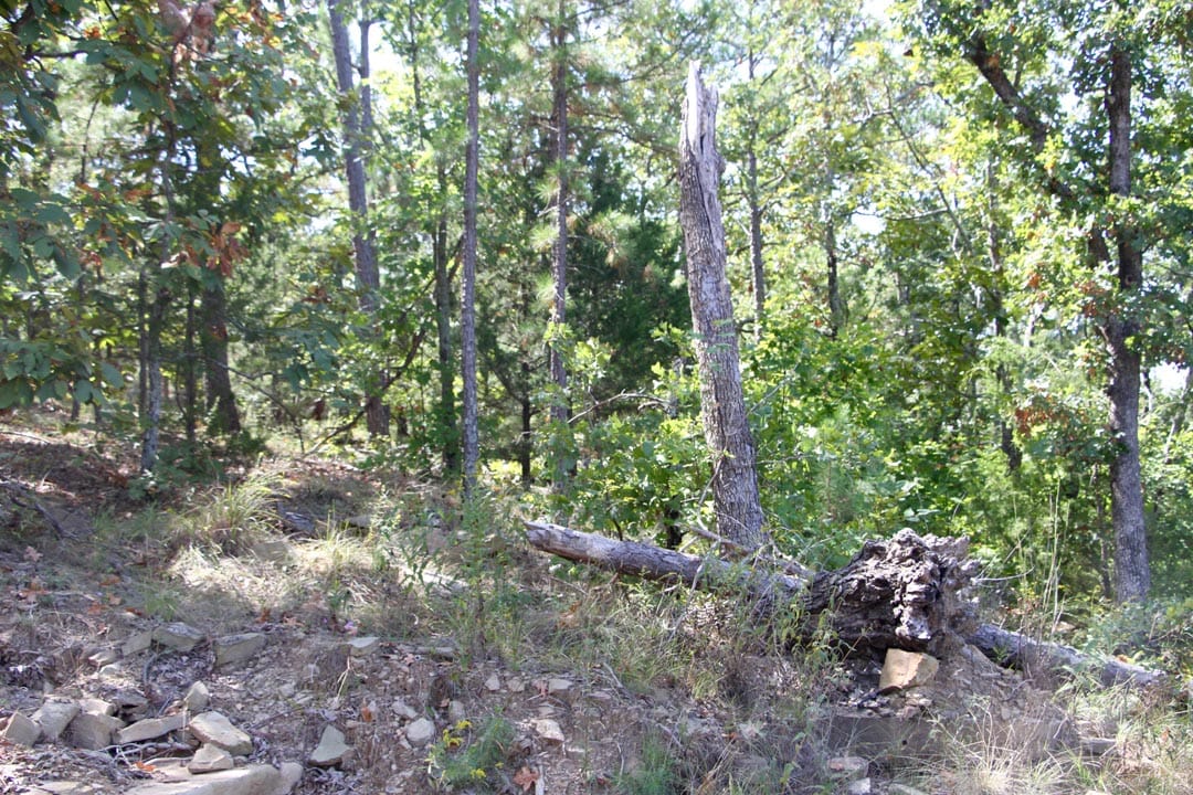 Lakeview Private Reserve Tract 12 photo 4