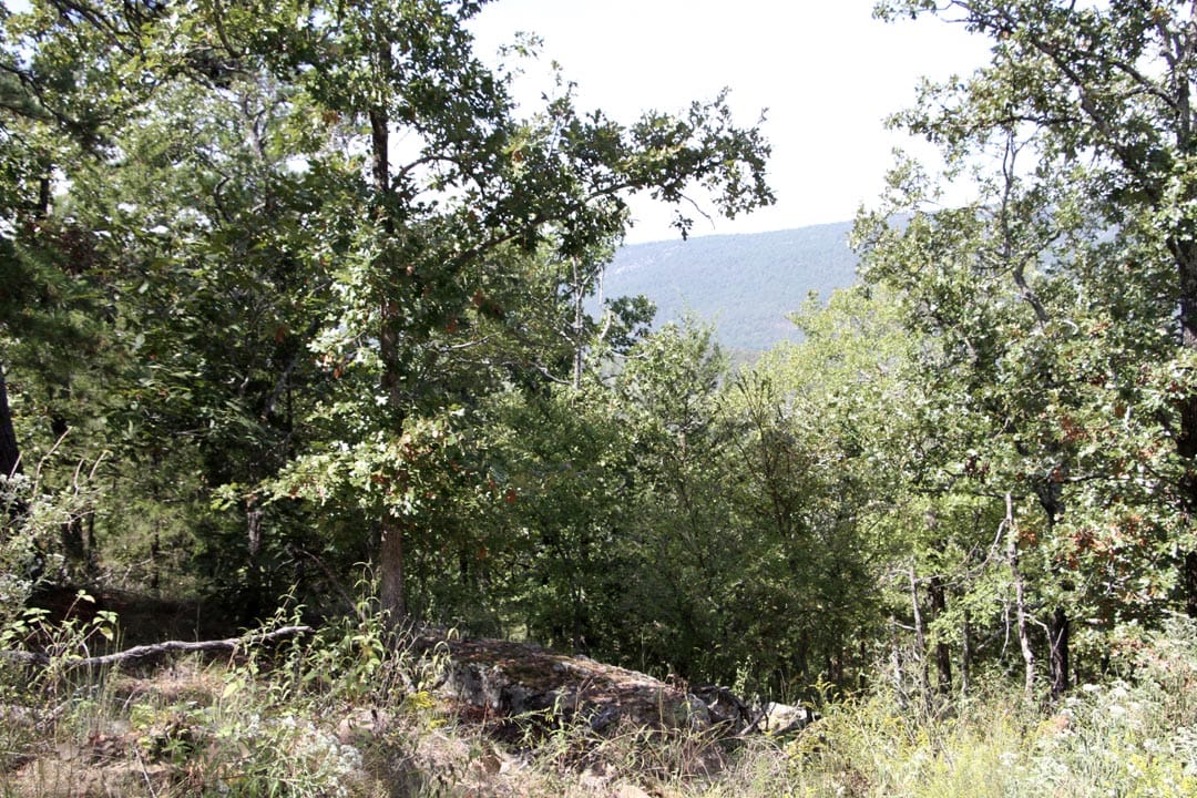 Lakeview Private Reserve Tract 12 photo 5