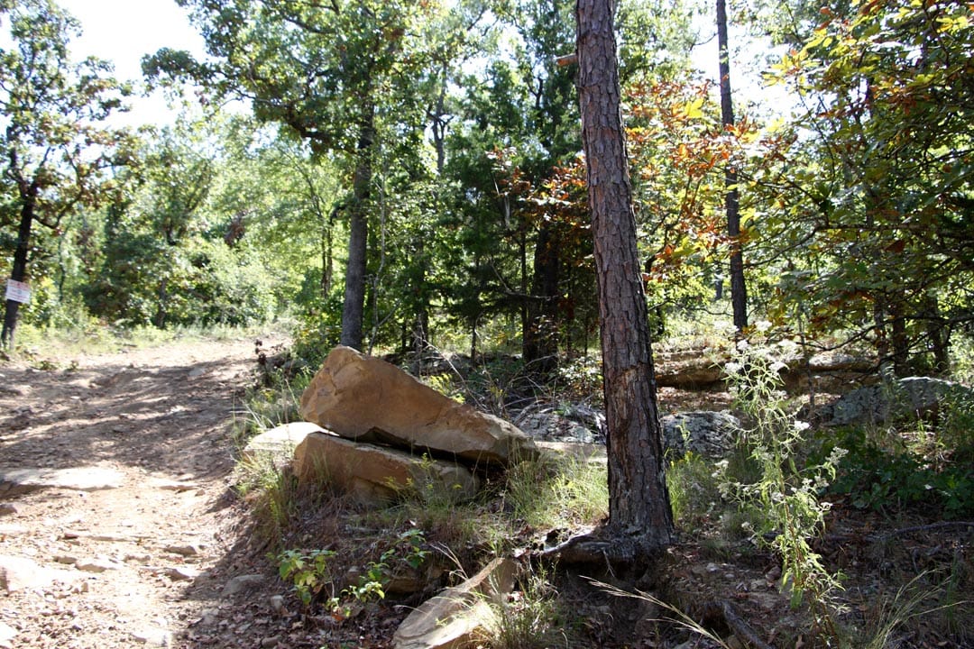 Lakeview Private Reserve Tract 12 photo 6