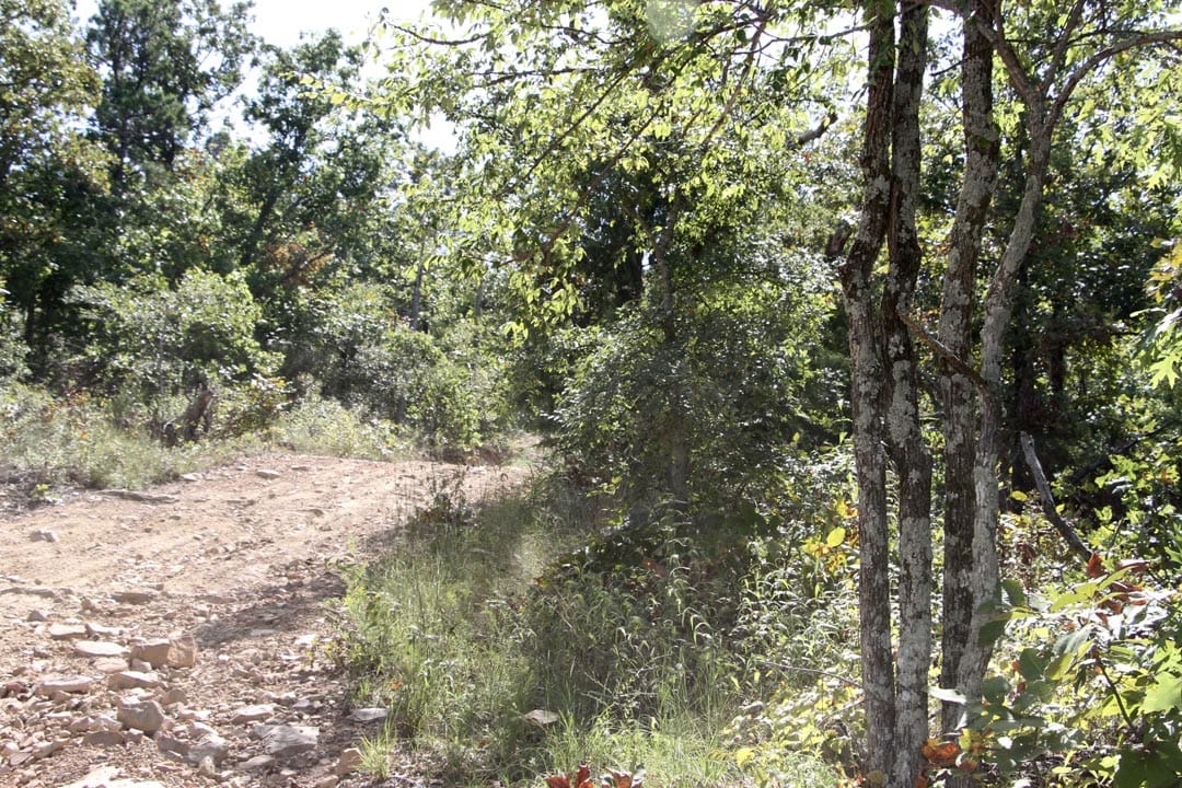 Lakeview Private Reserve Tract 12 photo 7