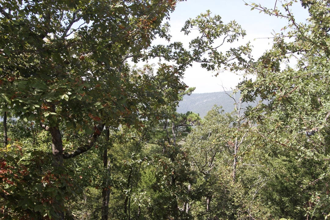 Lakeview Private Reserve Tract 12 photo 8