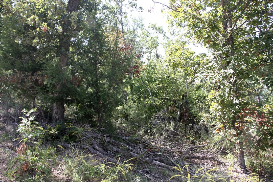 Lakeview Private Reserve Tract 12 photo 9