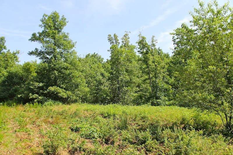 Green Mountain Ranch Tract 23 photo 7