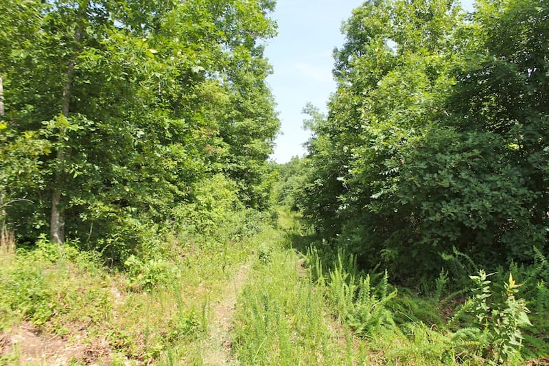 Green Mountain Ranch Tract 23 photo 1