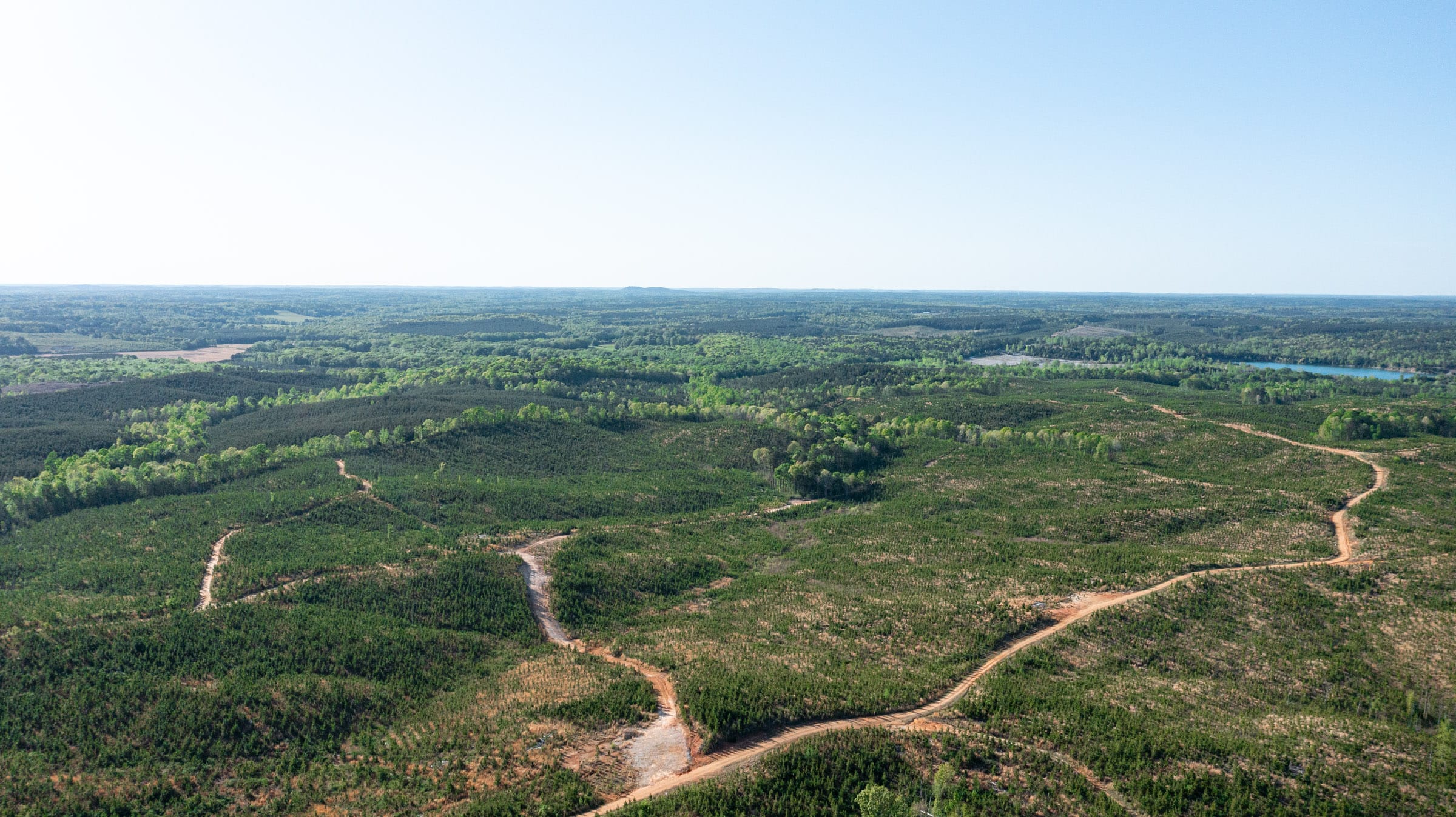 Clear Wood Tract 66 photo 3