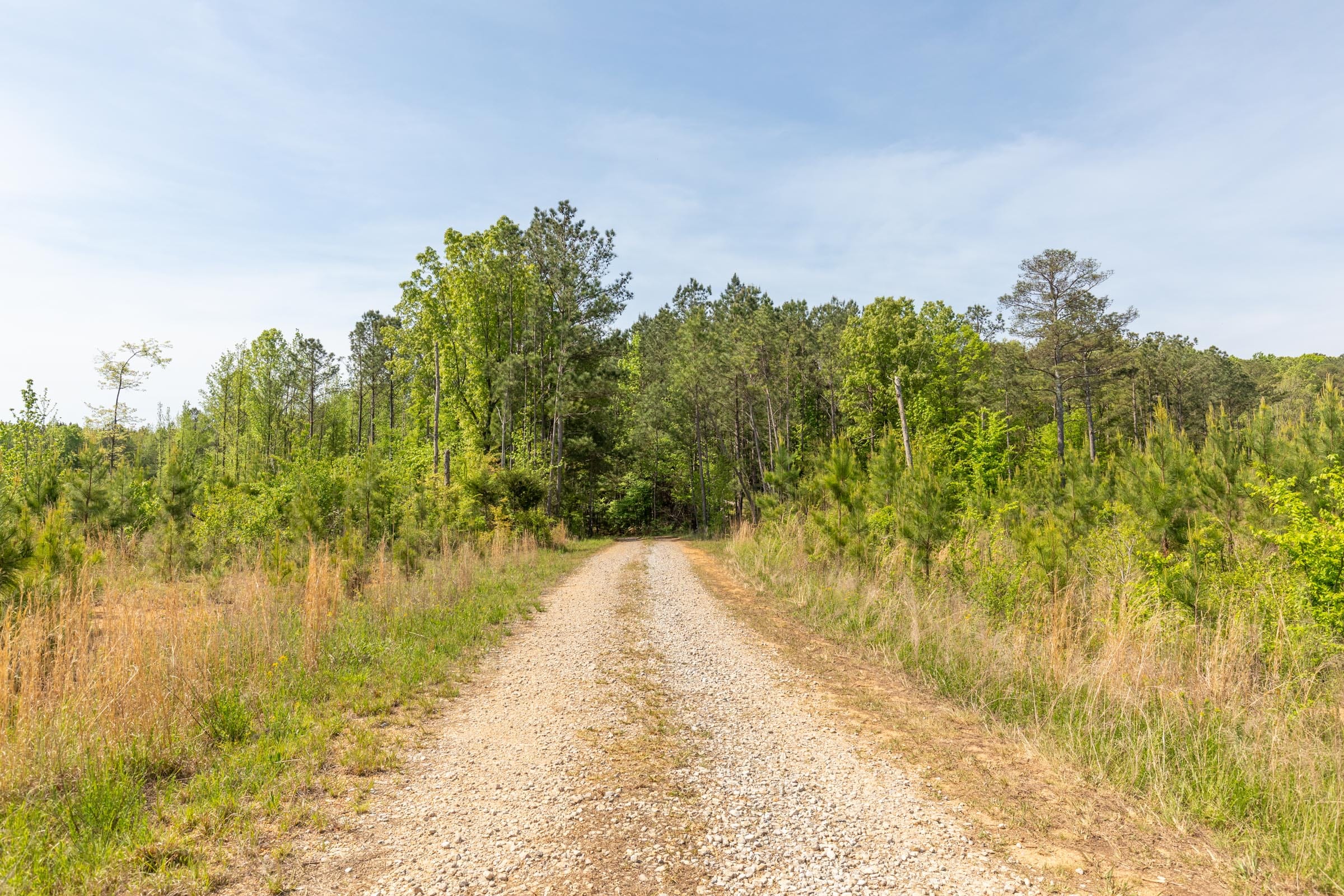 Clear Wood Tract 66 photo 1