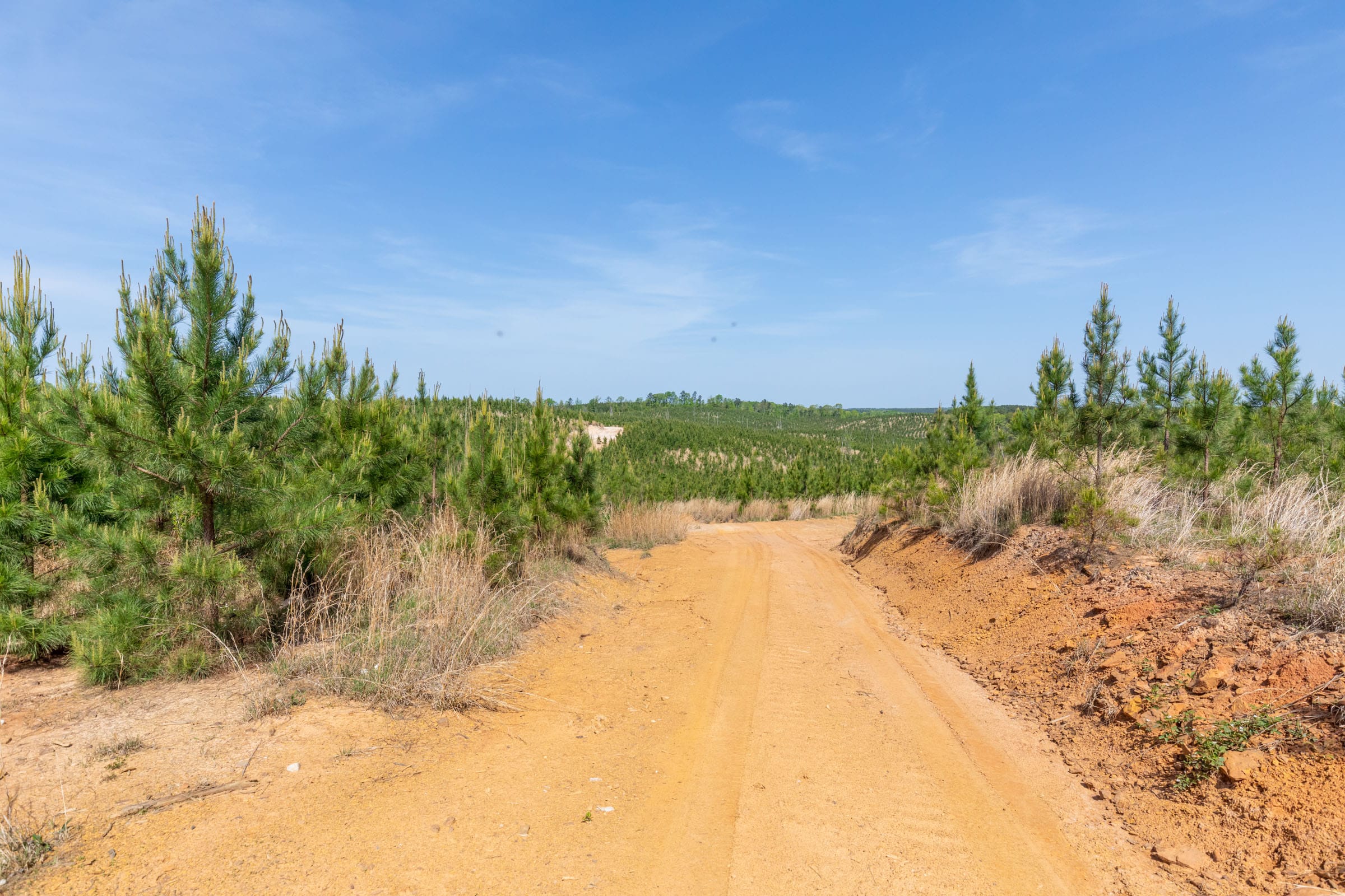 Clear Wood Tract 66 photo 5