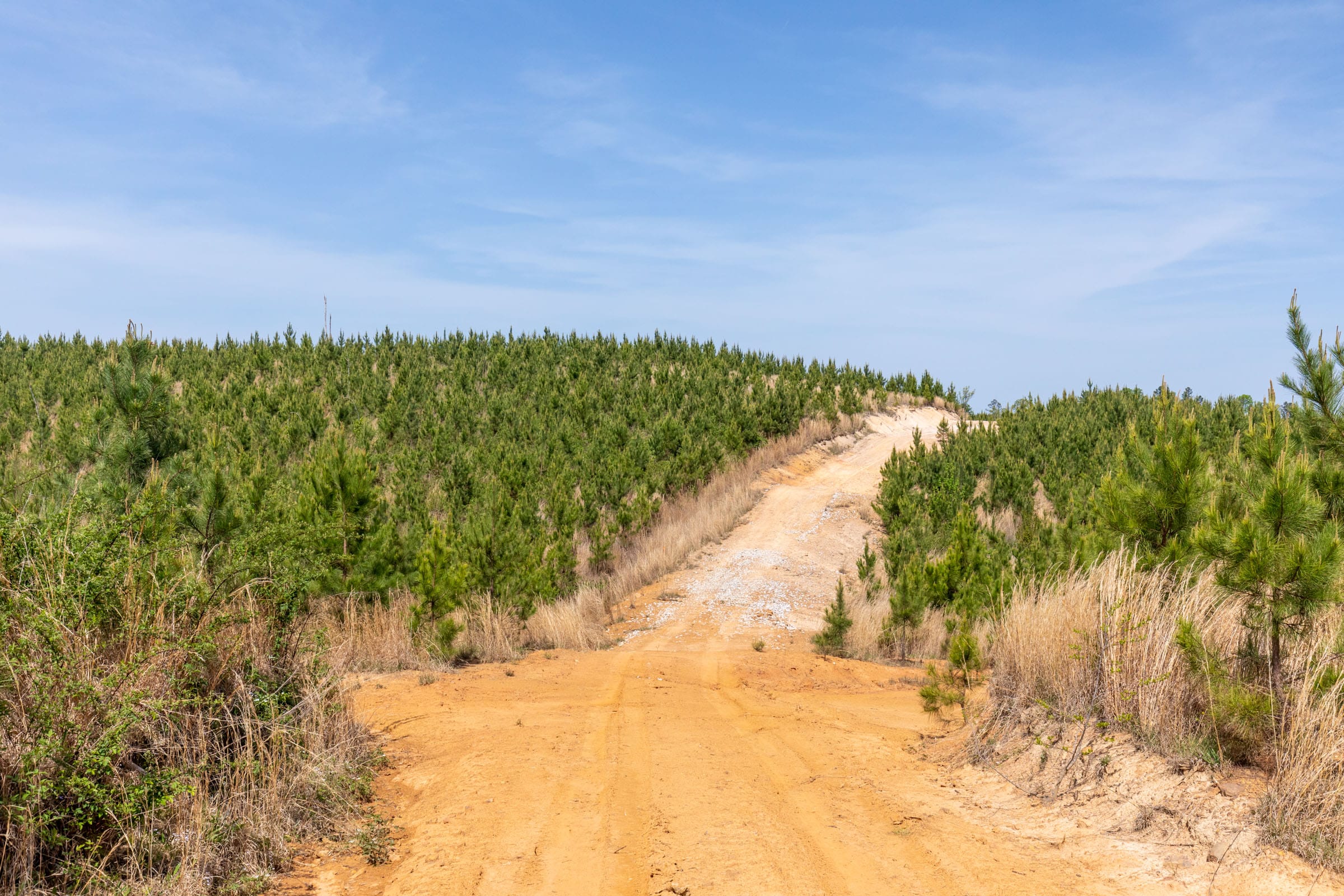 Clear Wood Tract 66 photo 11