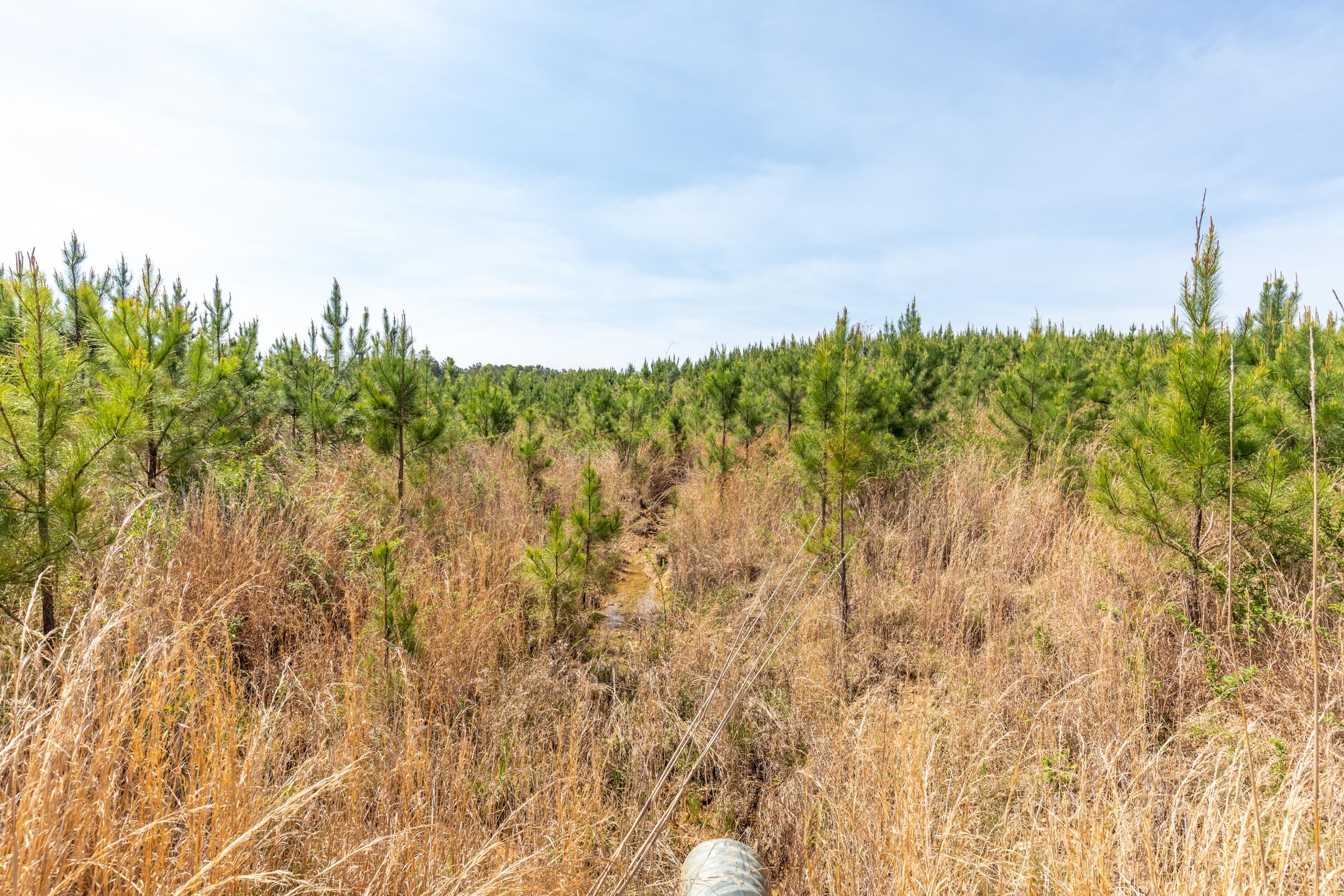 Clear Wood Tract 66 photo 13