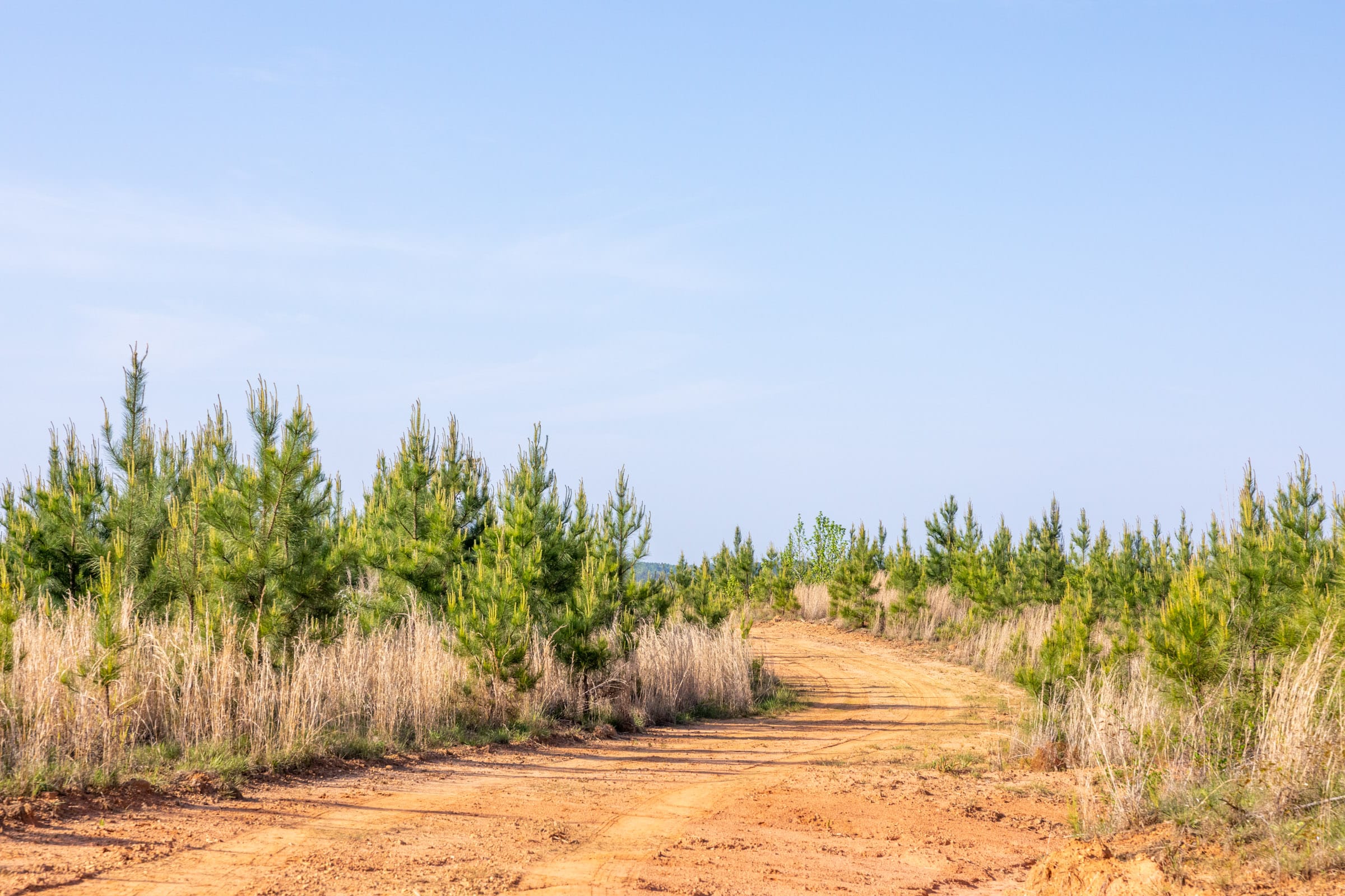 Clear Wood Tract 66 photo 26