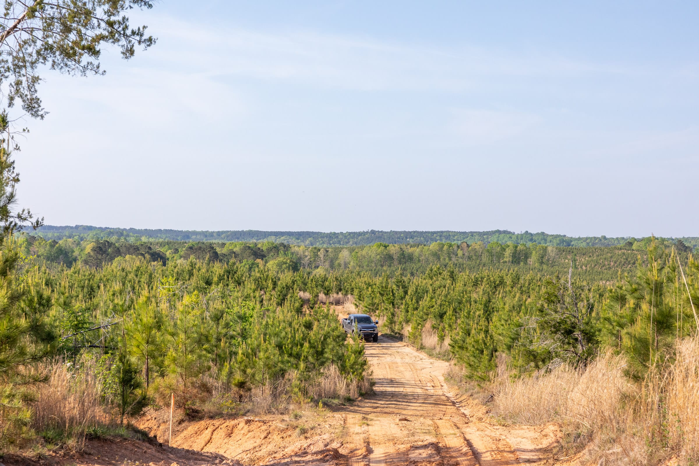 Clear Wood Tract 66 photo 27