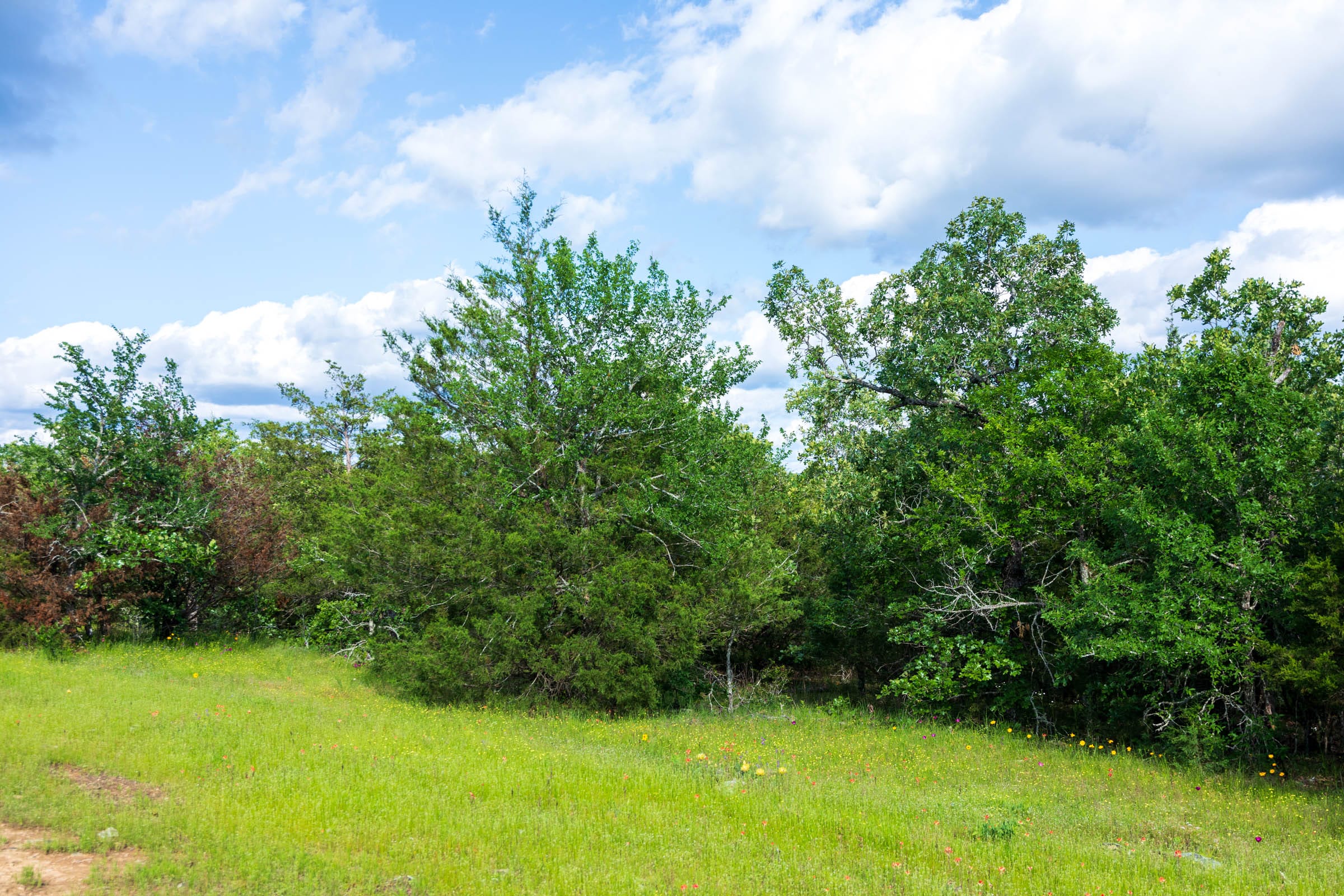 Falcon Crest Tract 23 photo 5
