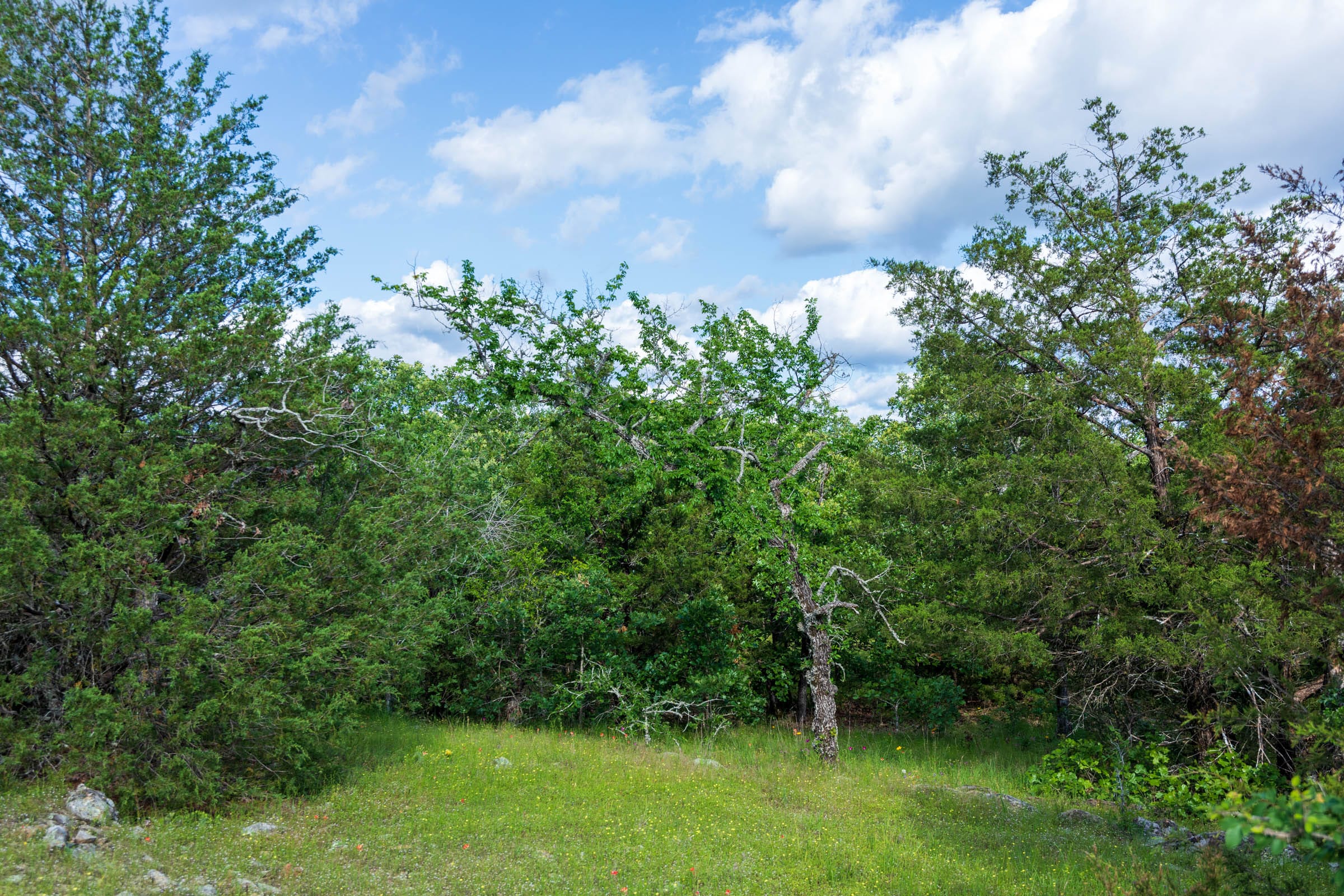 Falcon Crest Tract 23 photo 7