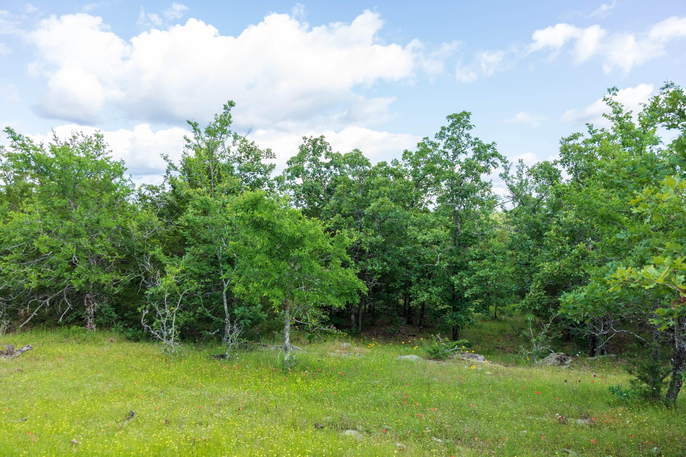 Falcon Crest Tract 23 photo 8