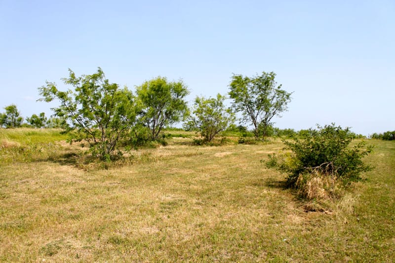 Meadowview Estates Tract 1 photo 3