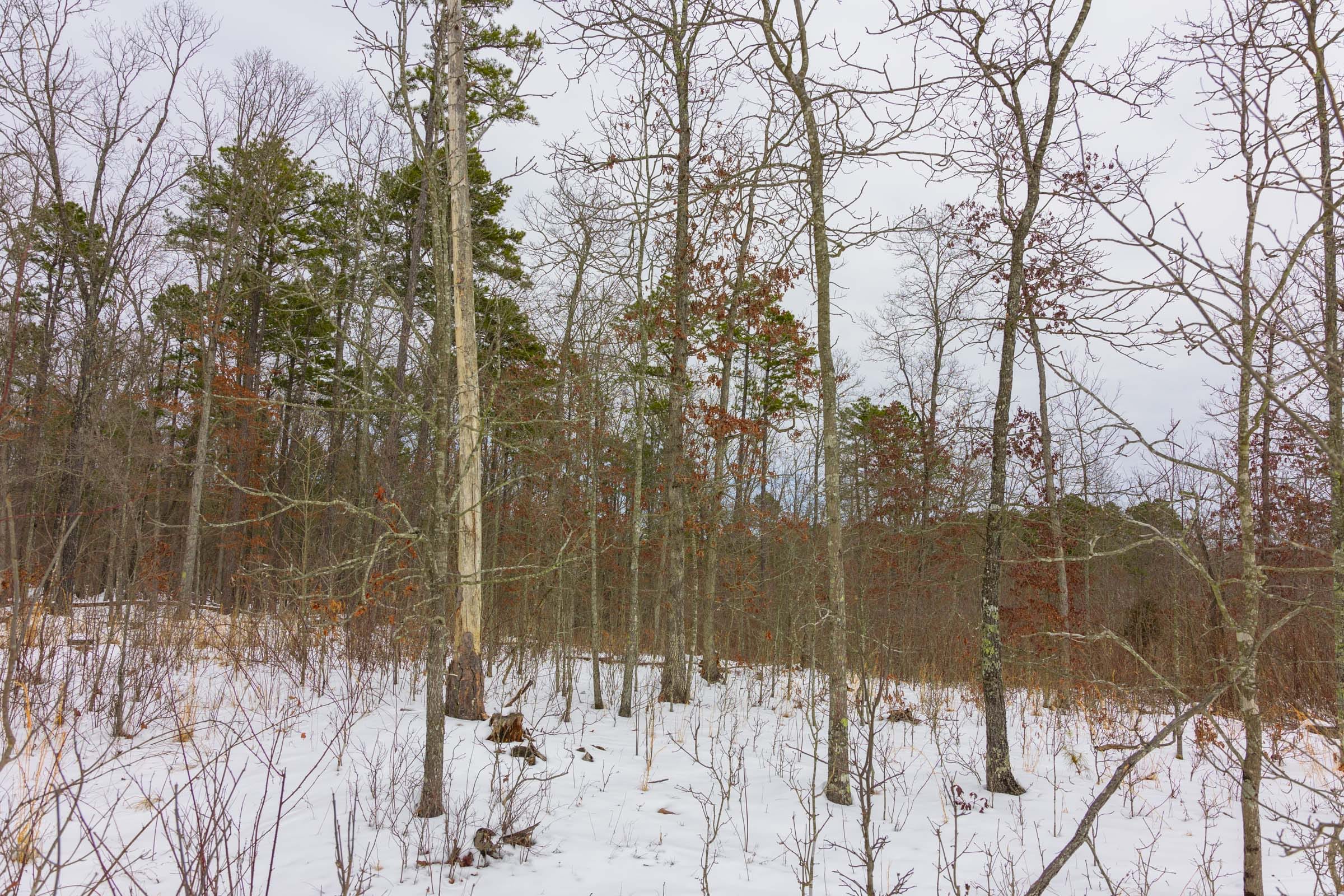 Sleepy Hollow Phase I Tract 8 photo 12
