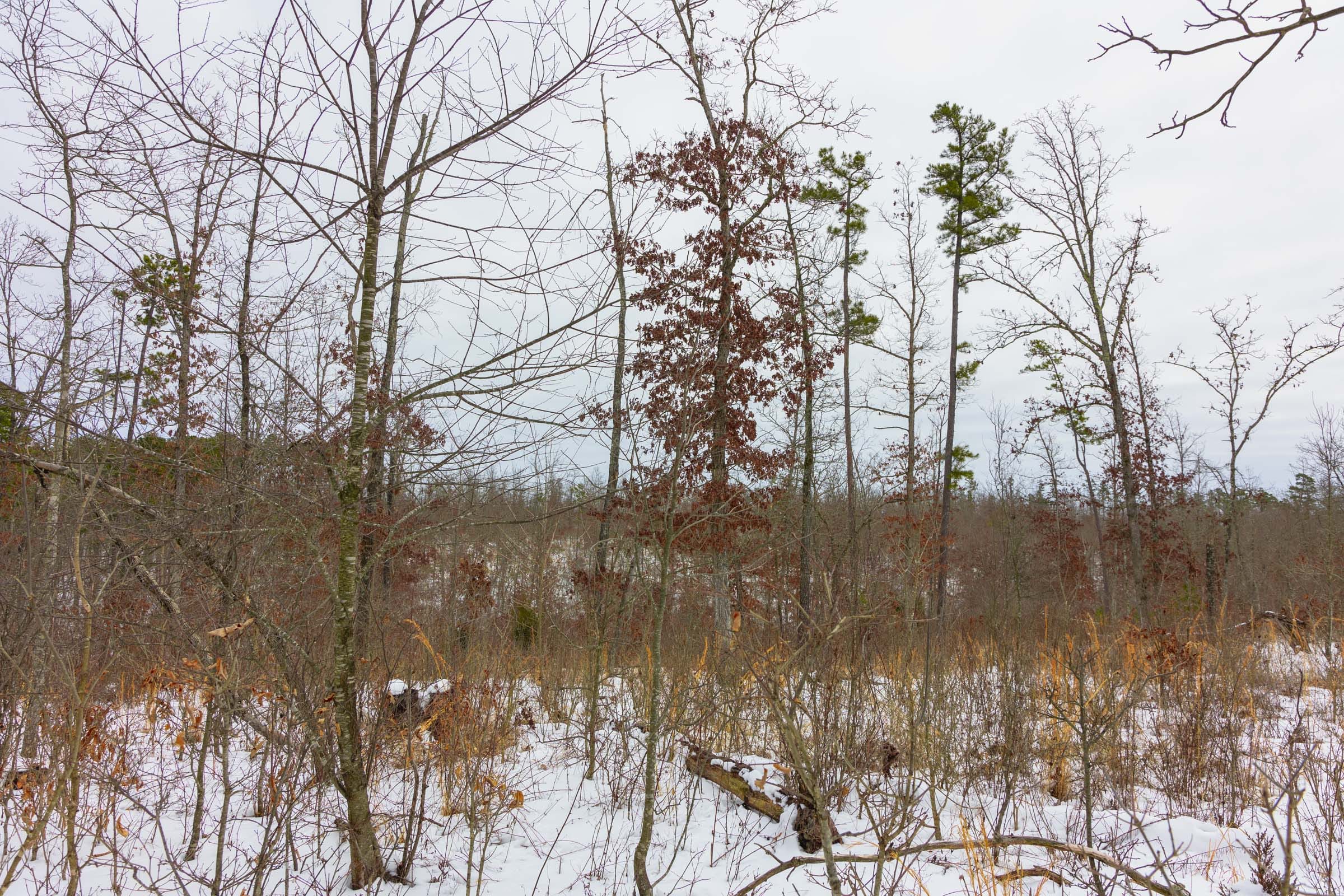 Sleepy Hollow Phase I Tract 8 photo 9