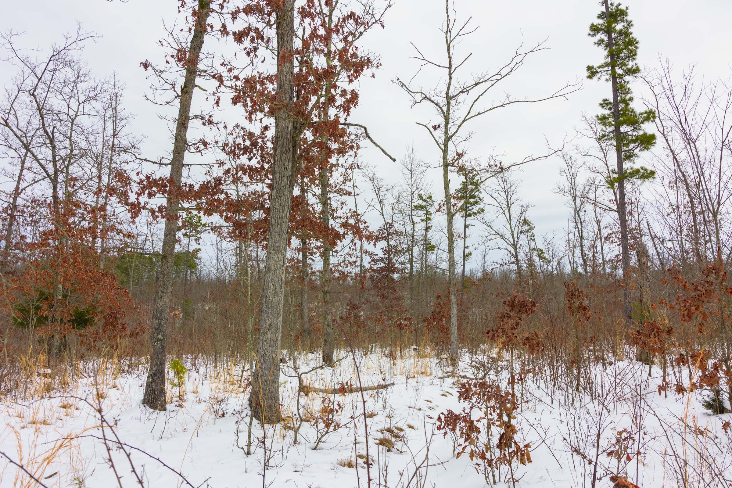 Sleepy Hollow Phase I Tract 8 photo 7