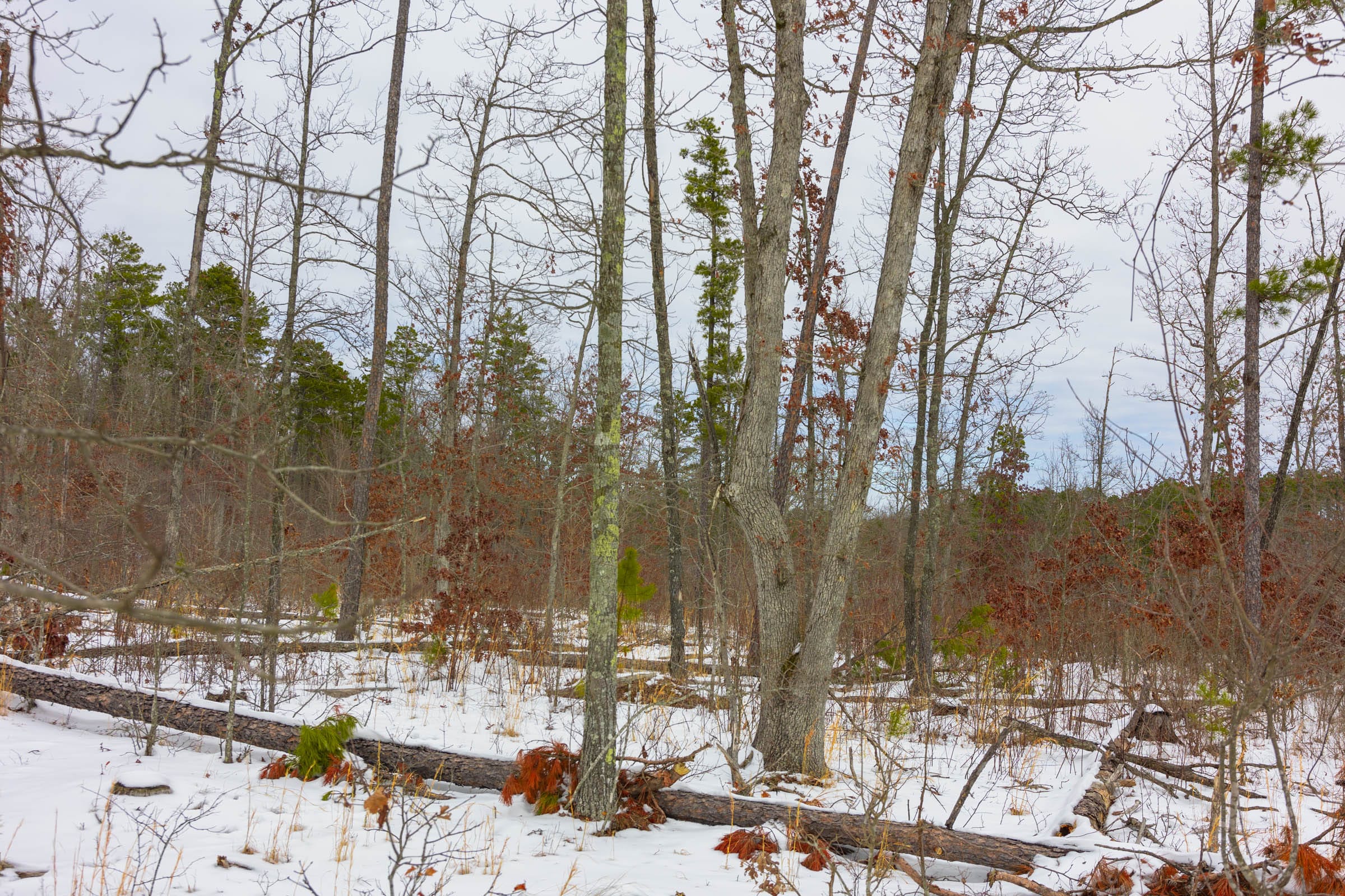Sleepy Hollow Phase I Tract 8 photo 6