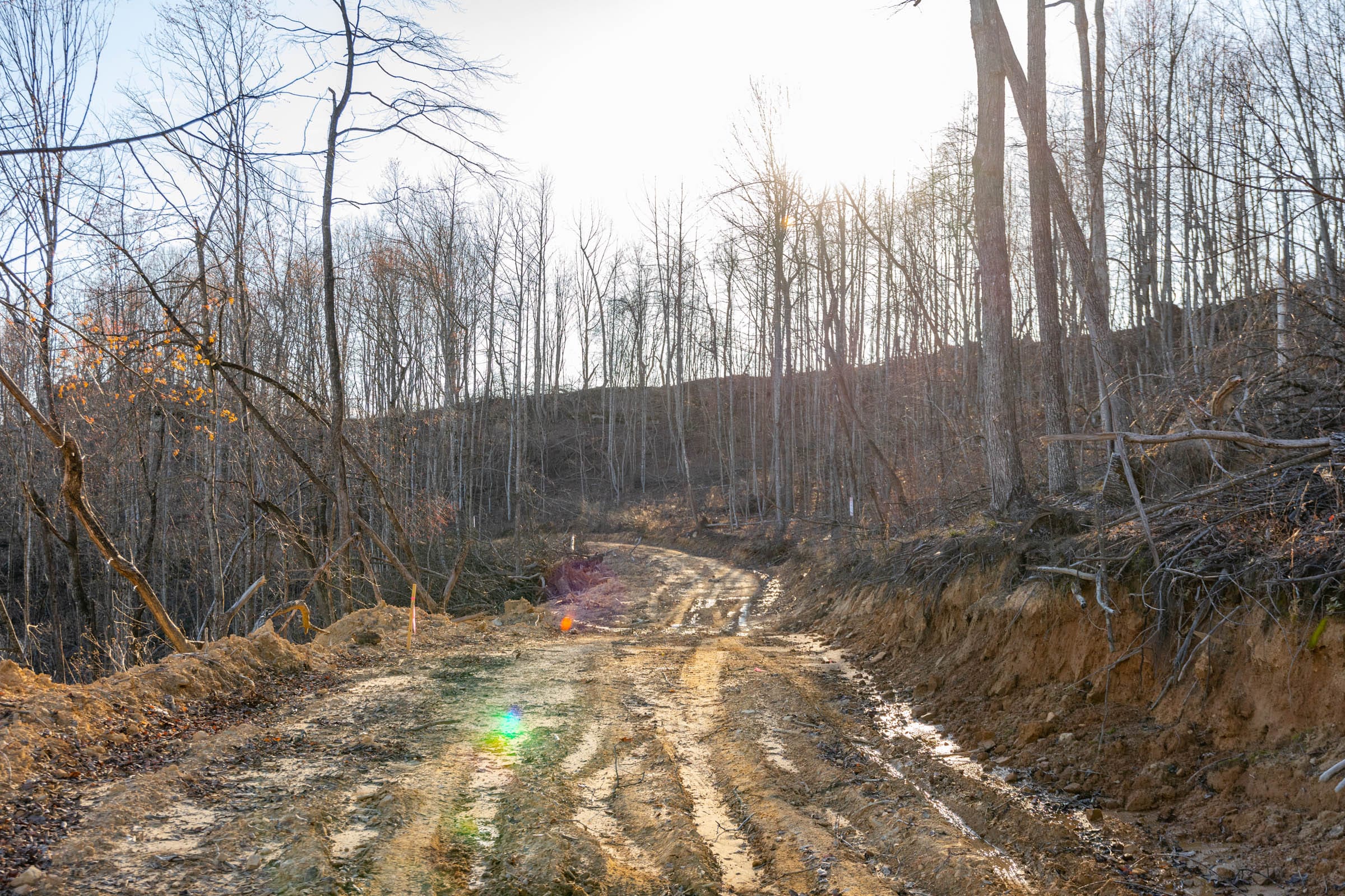 Creek Hollow Phase I Tract 23 photo 1