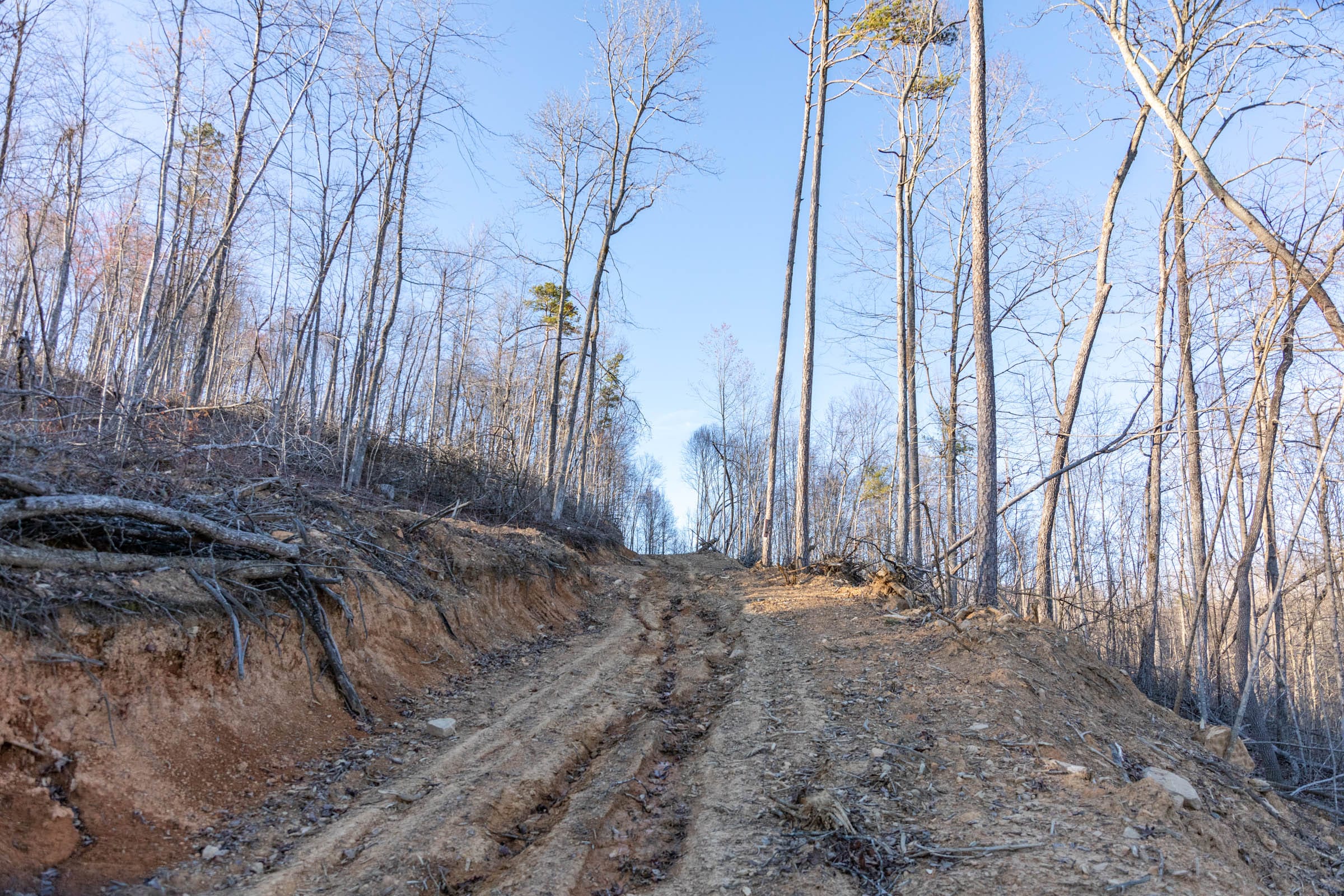 Creek Hollow Phase I Tract 23 photo 7