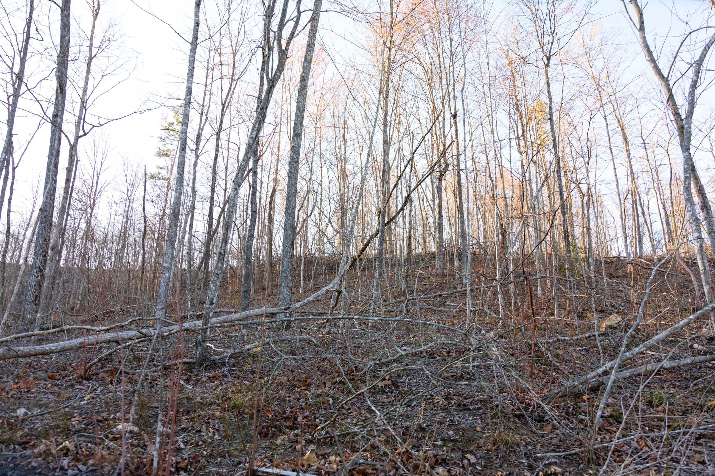 Creek Hollow Phase I Tract 23 photo 6