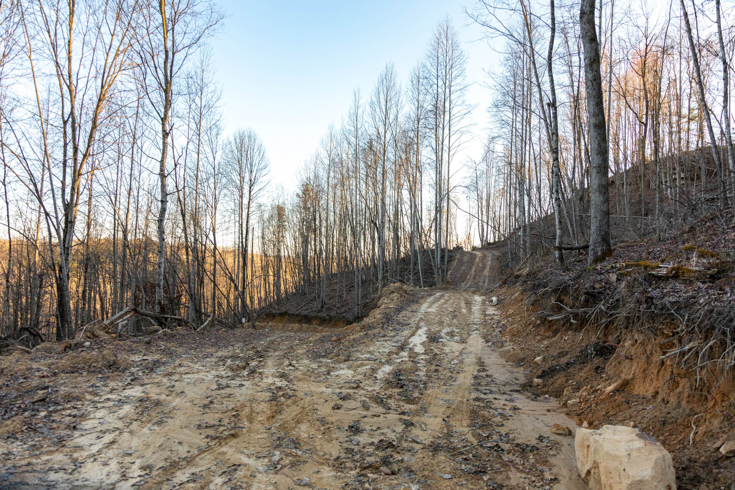 Creek Hollow Phase I Tract 23 photo 10