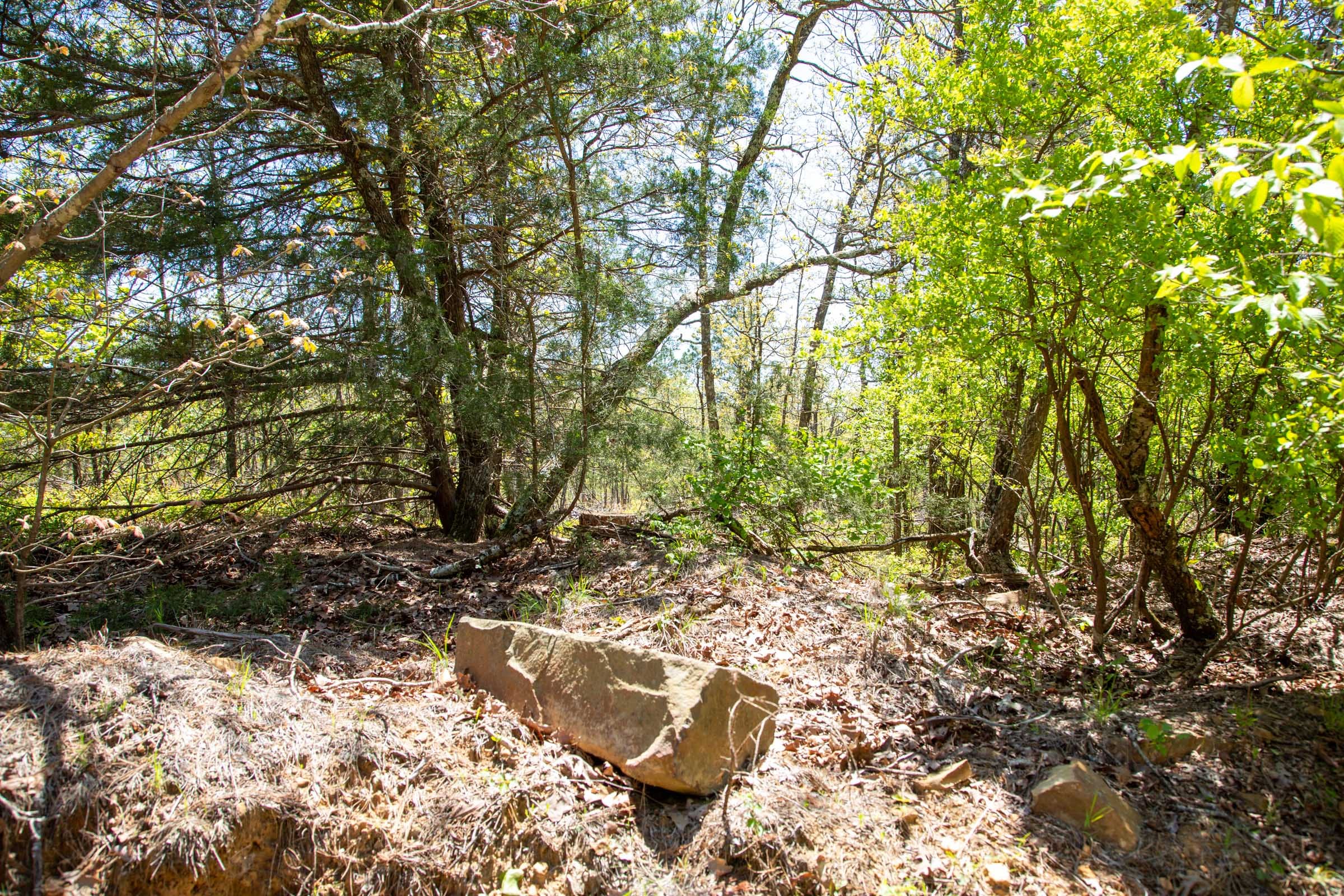 Eagle’s Nest Tract 7 photo 3