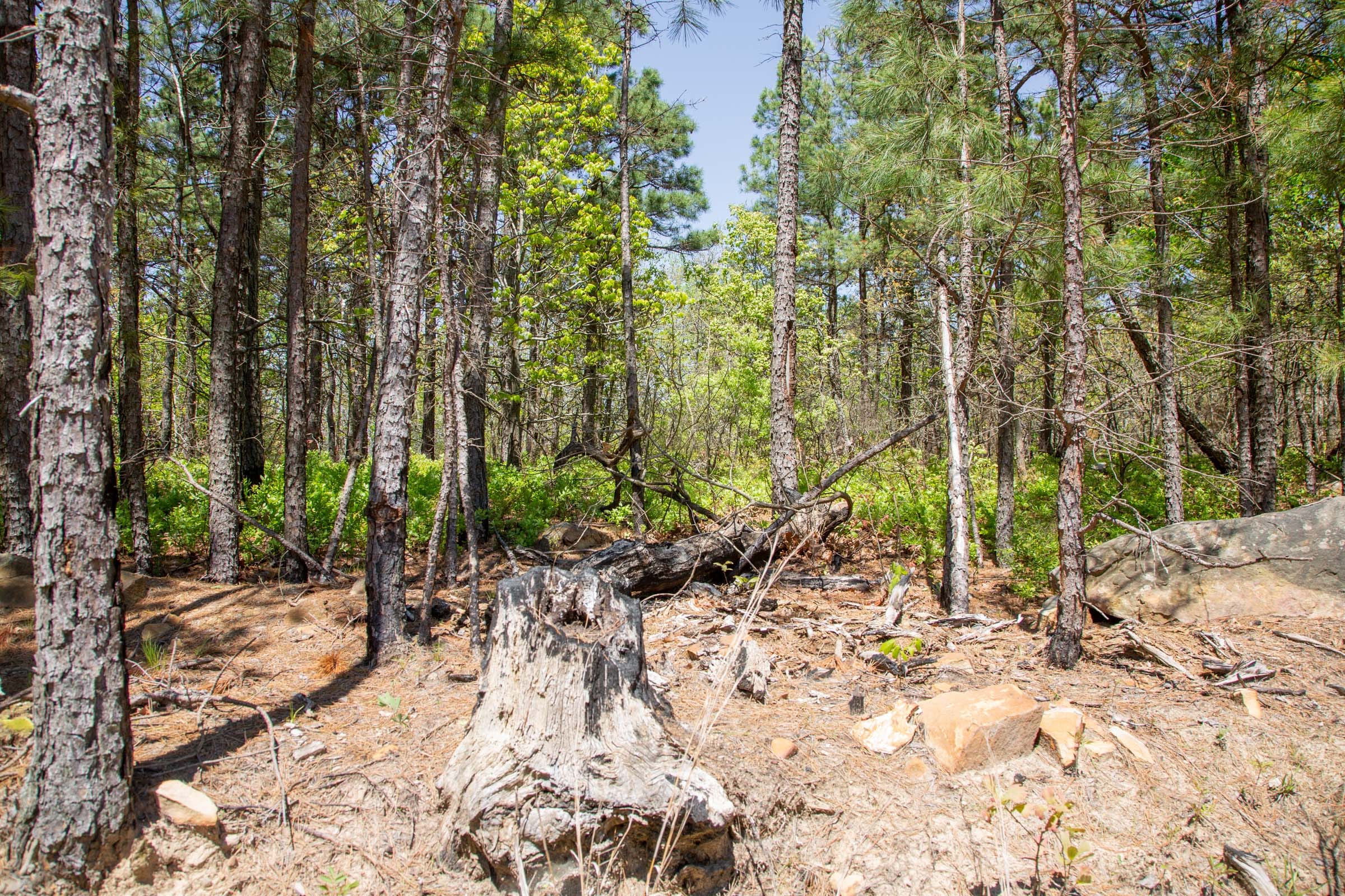 Eagle’s Nest Tract 7 photo 4