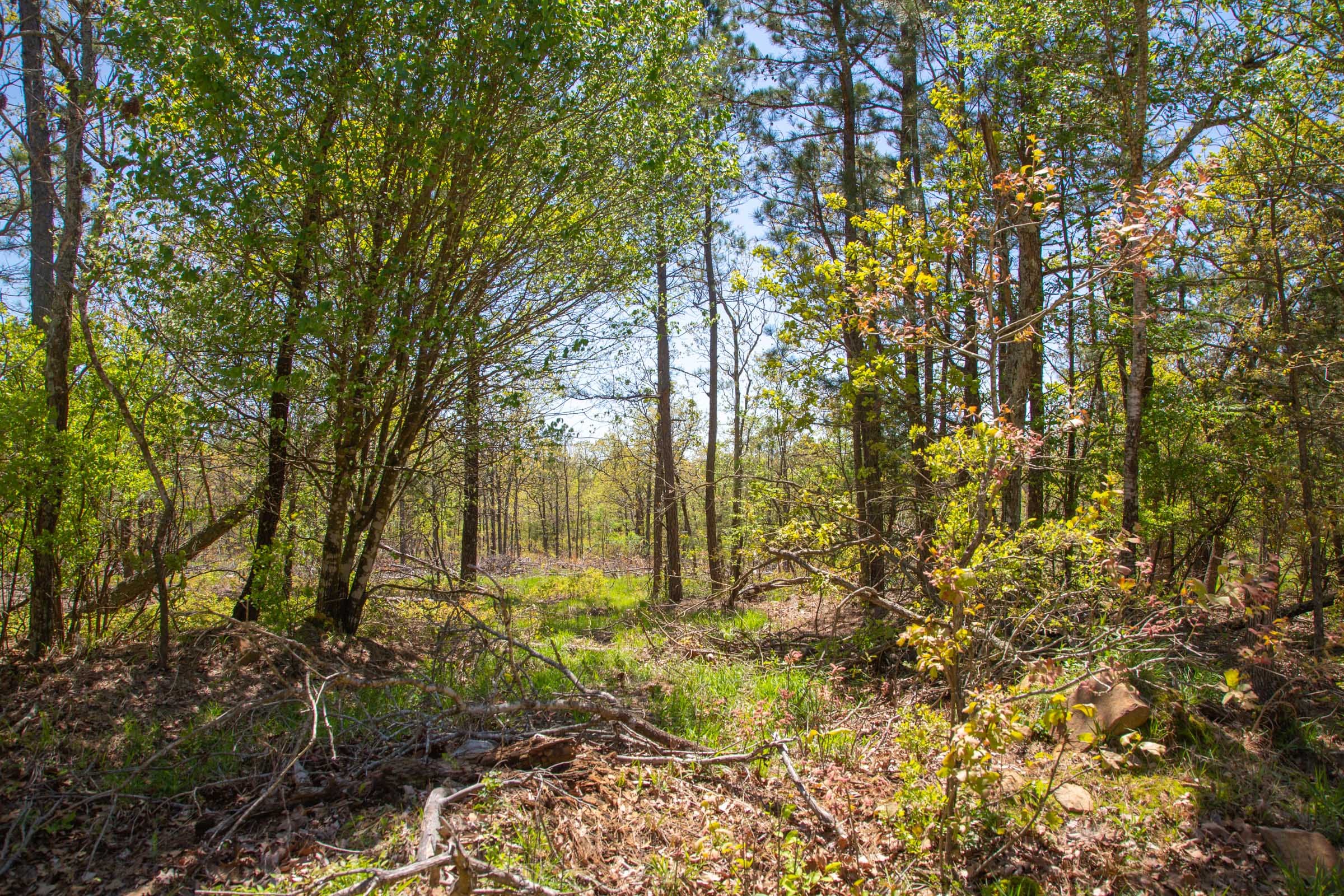 Eagle’s Nest Tract 7 photo 5