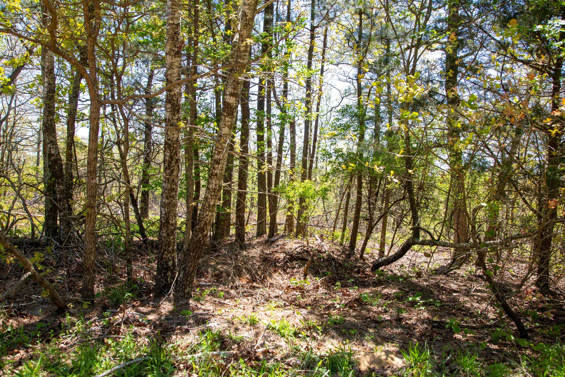 Eagle’s Nest Tract 7 photo 7