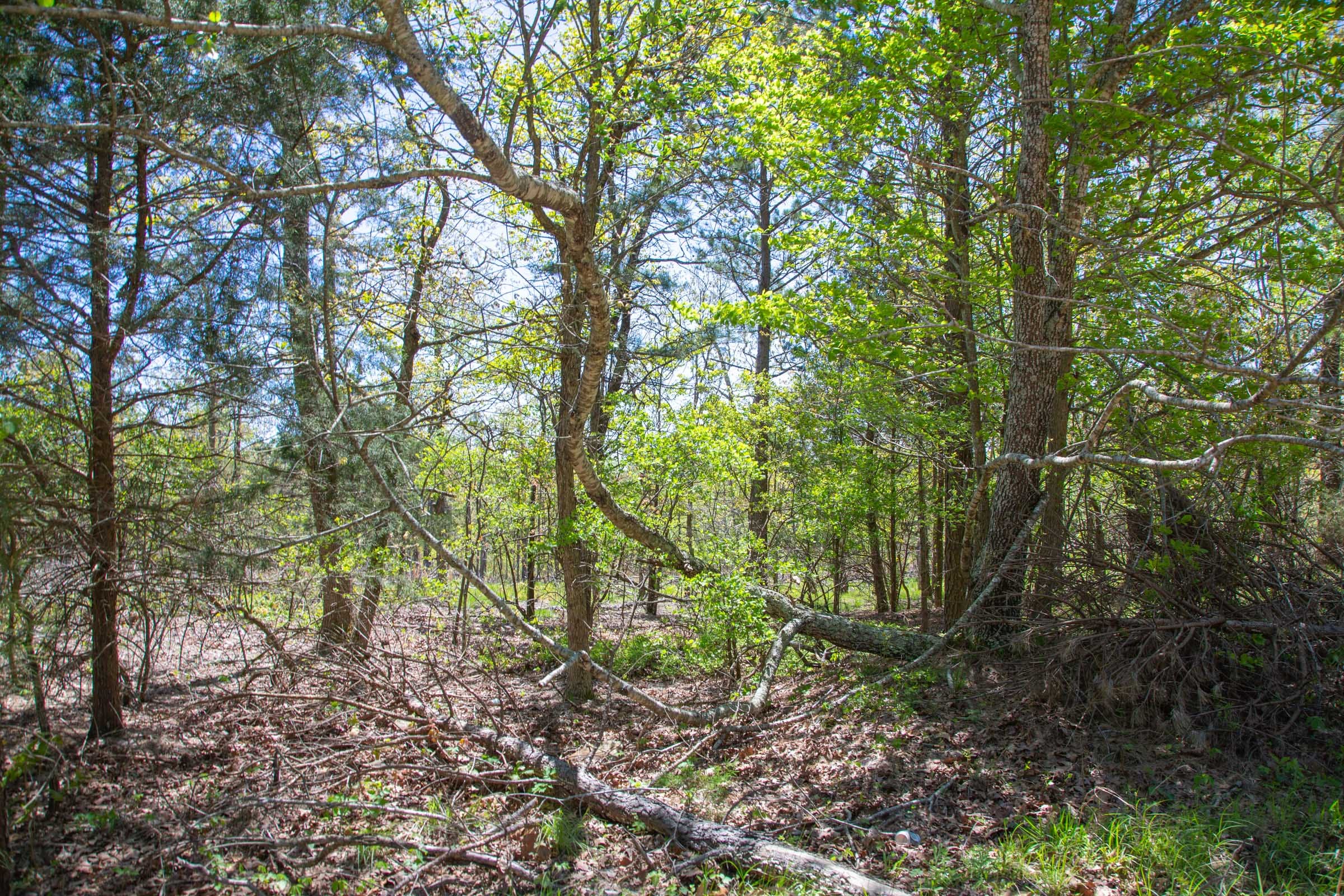 Eagle’s Nest Tract 7 photo 8