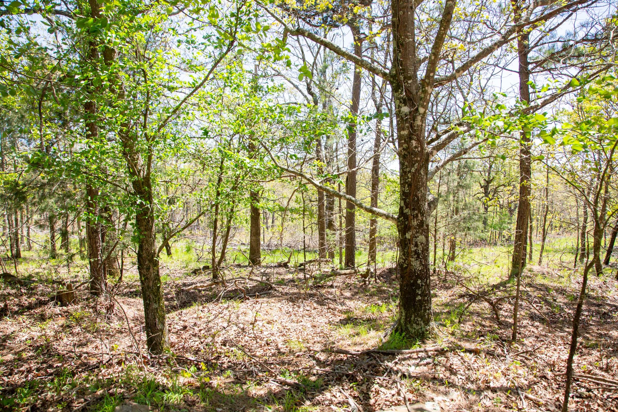 Eagle’s Nest Tract 7 photo 10