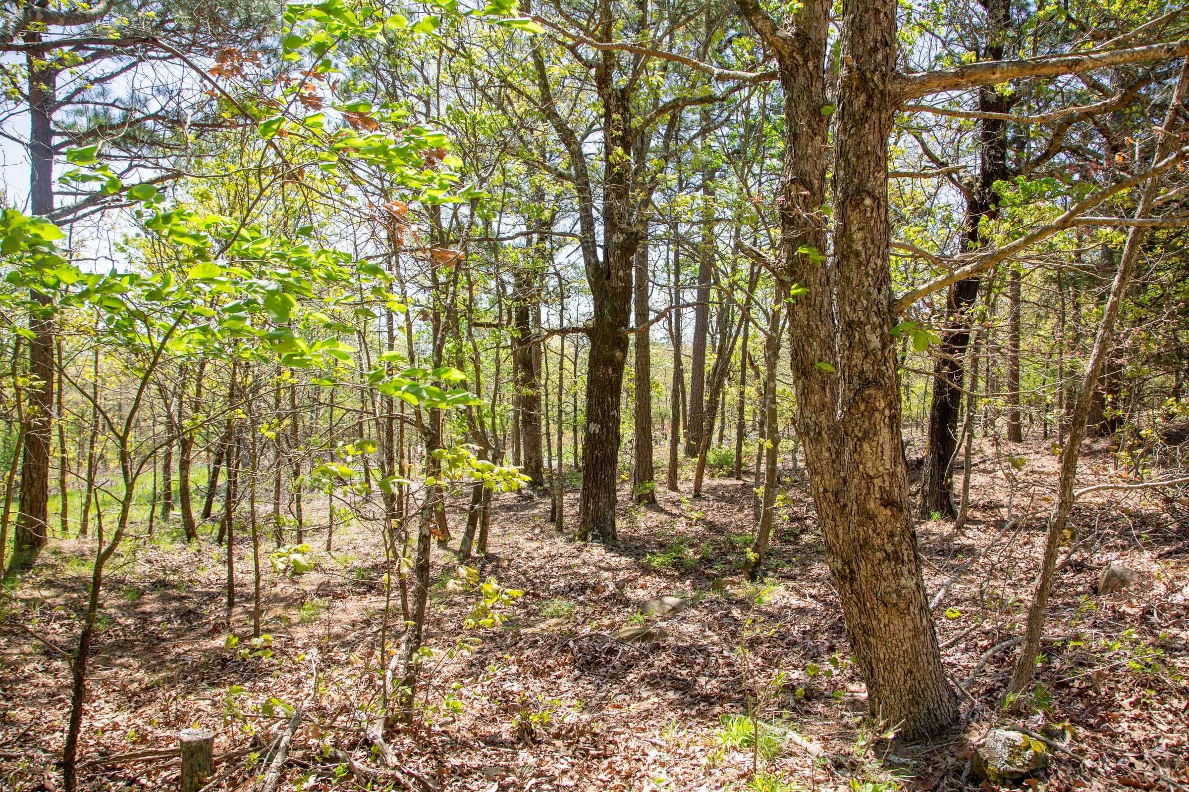 Eagle’s Nest Tract 7 photo 12