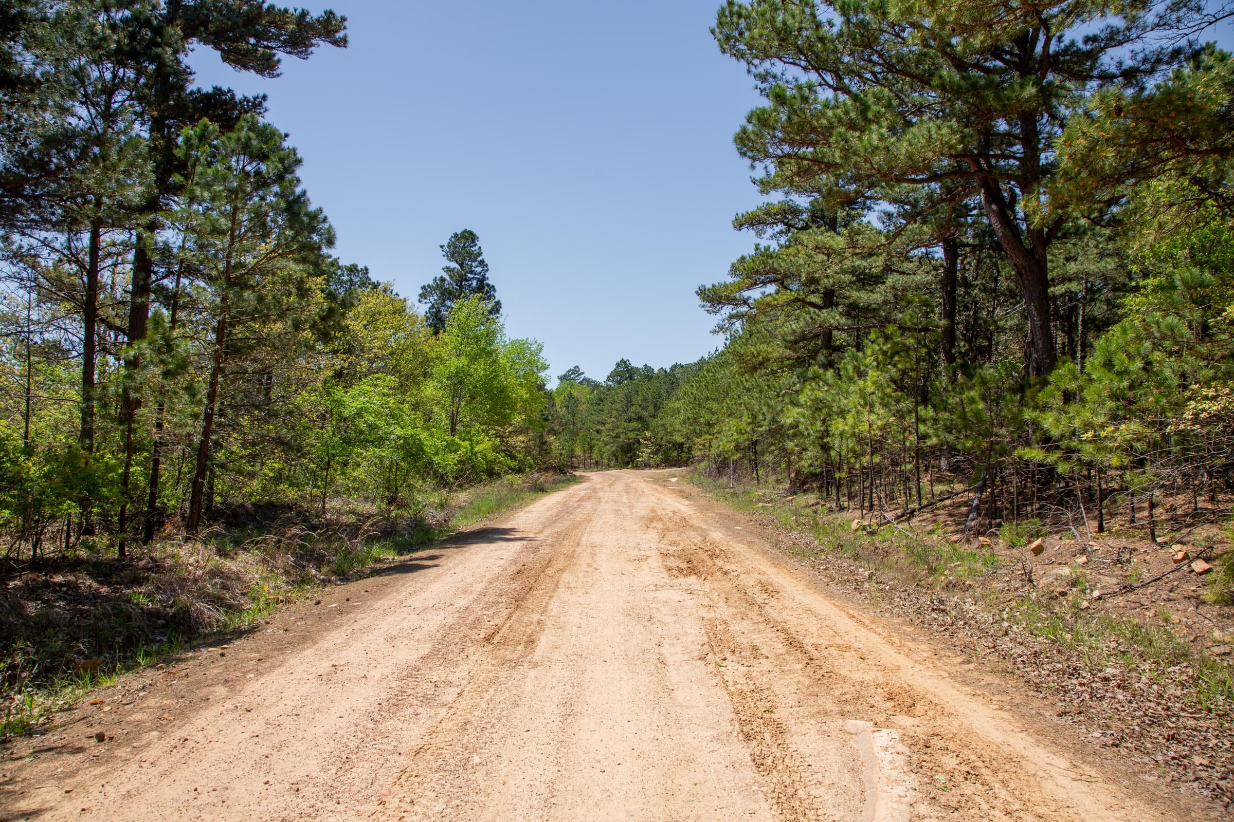 Eagle’s Nest Tract 7 photo 6