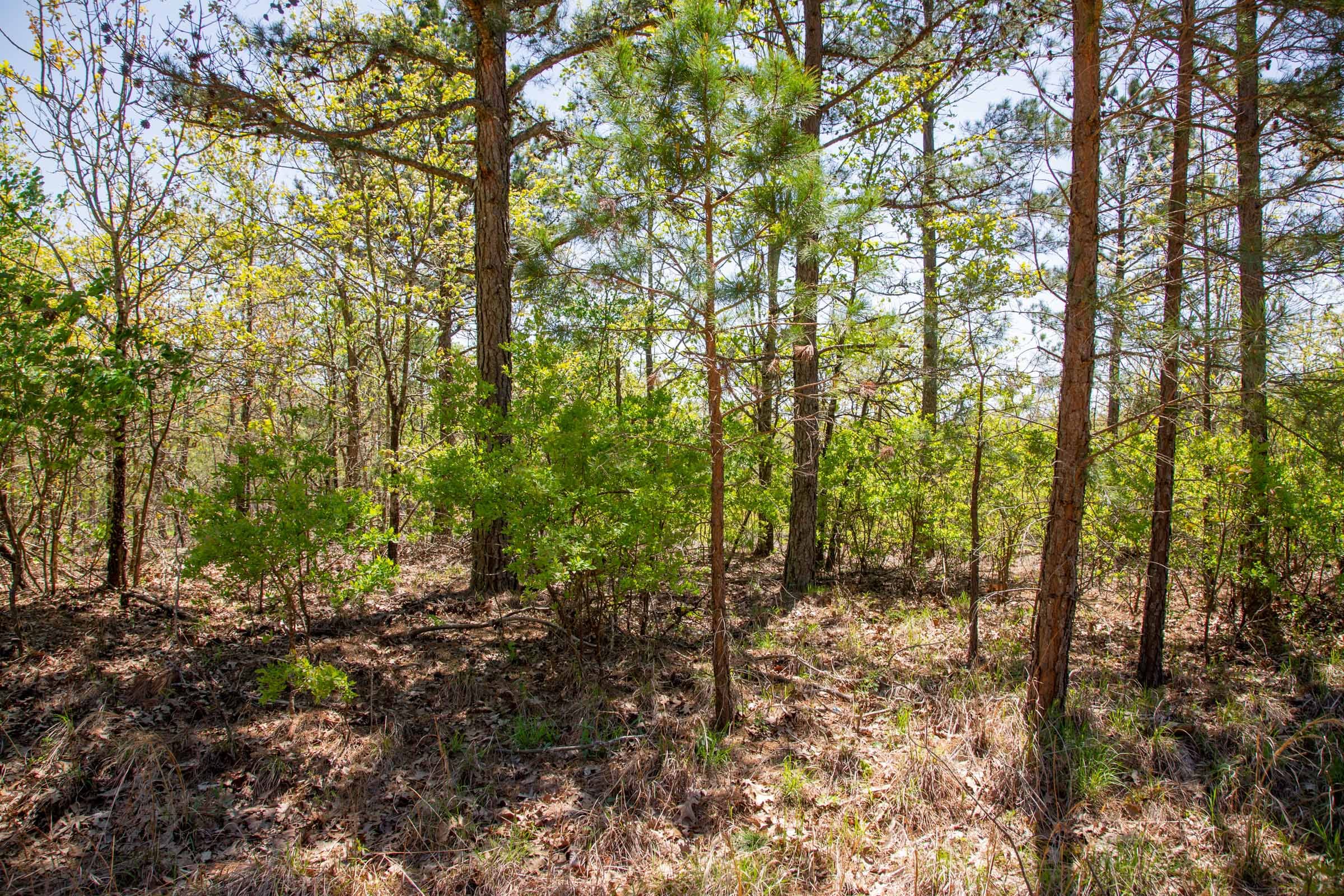 Eagle’s Nest Tract 7 photo 13