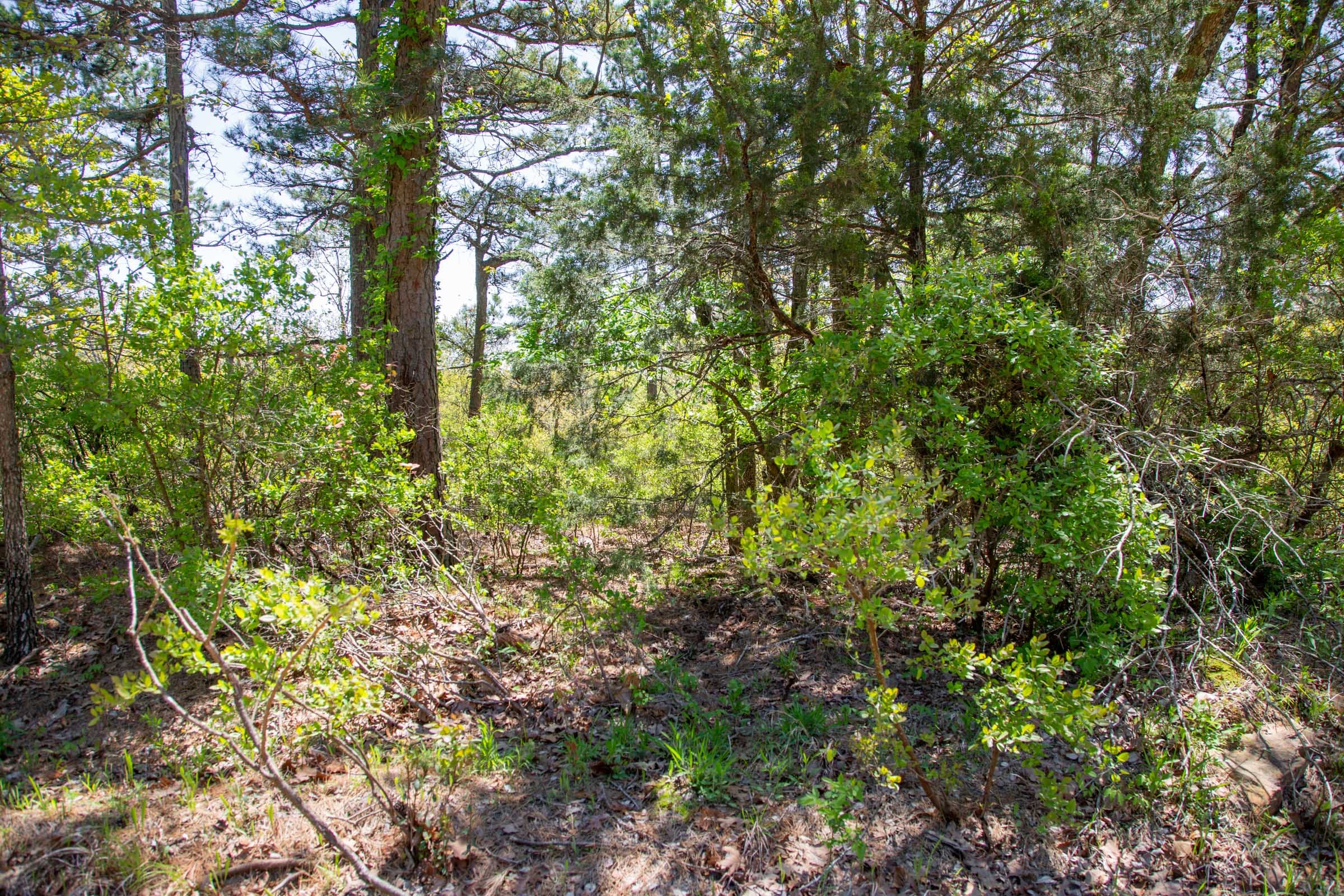 Eagle’s Nest Tract 7 photo 14
