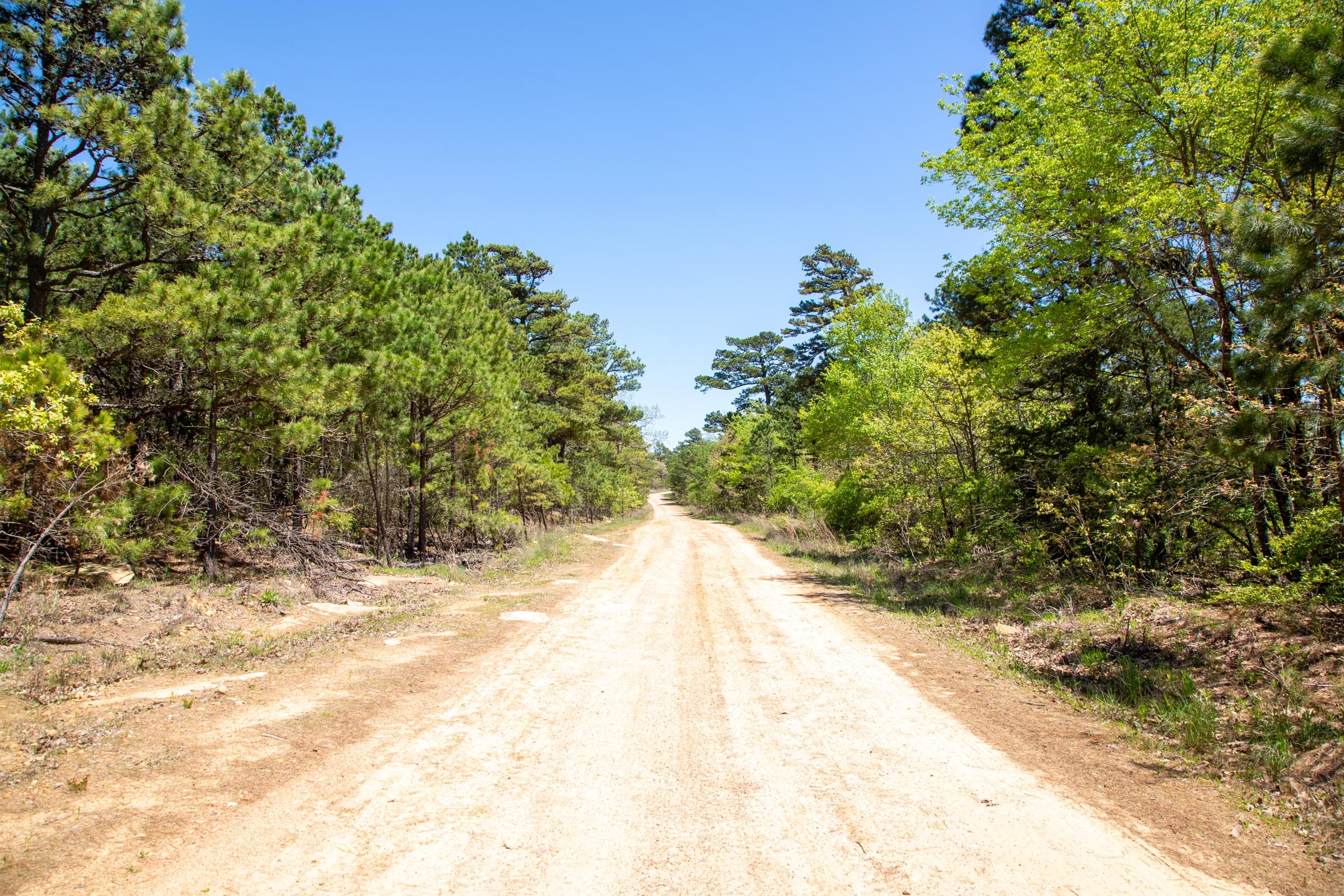 Eagle’s Nest Tract 7 photo 11