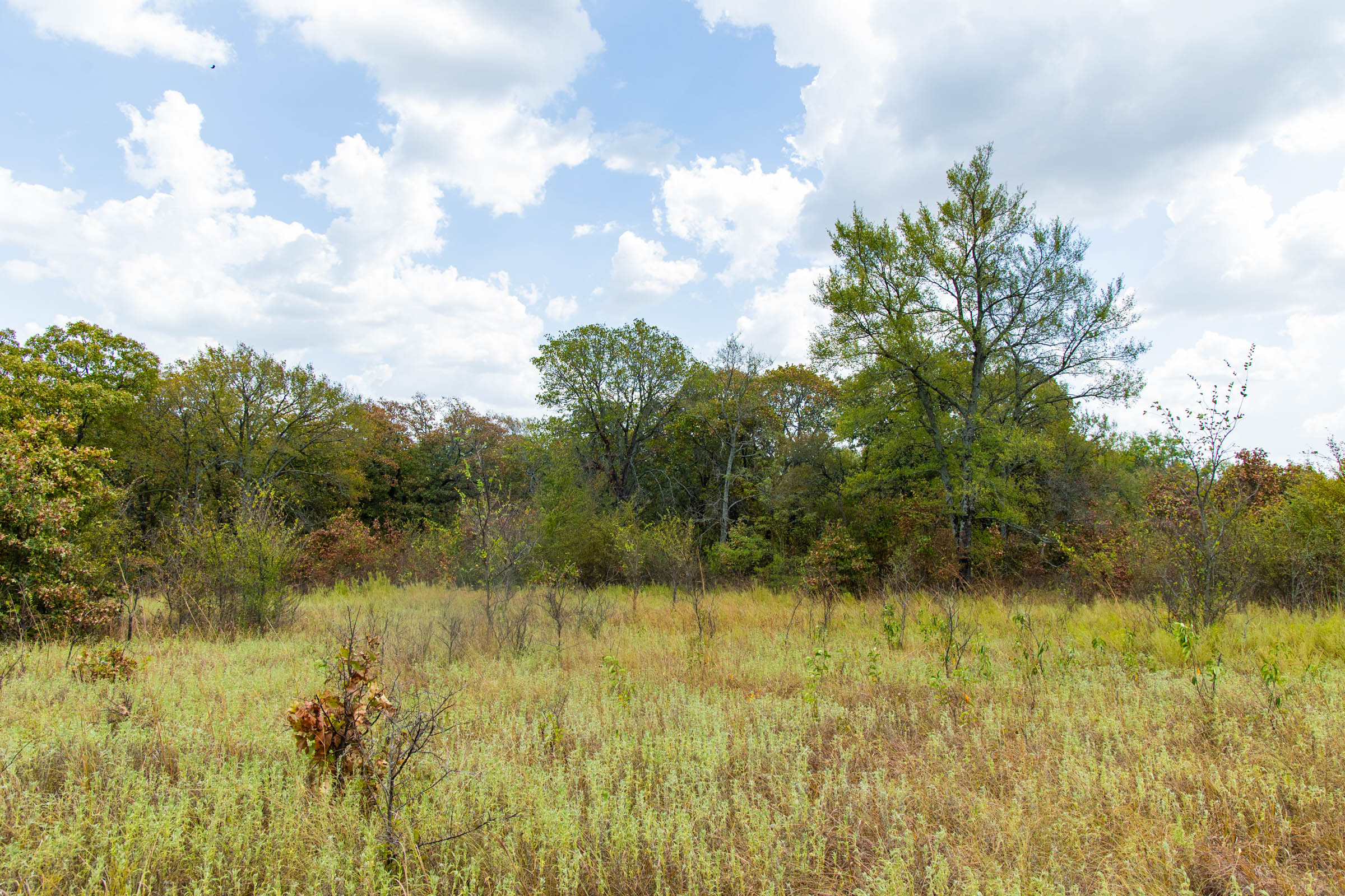 Gracyn Meadows Tract 19 photo 10