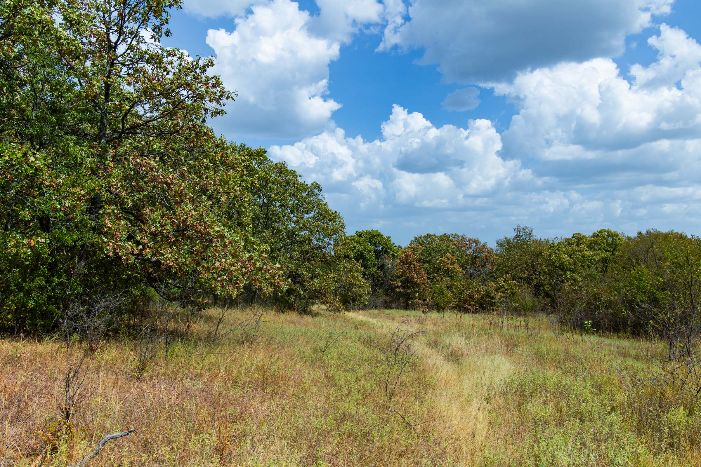 Gracyn Meadows Tract 19 photo 11