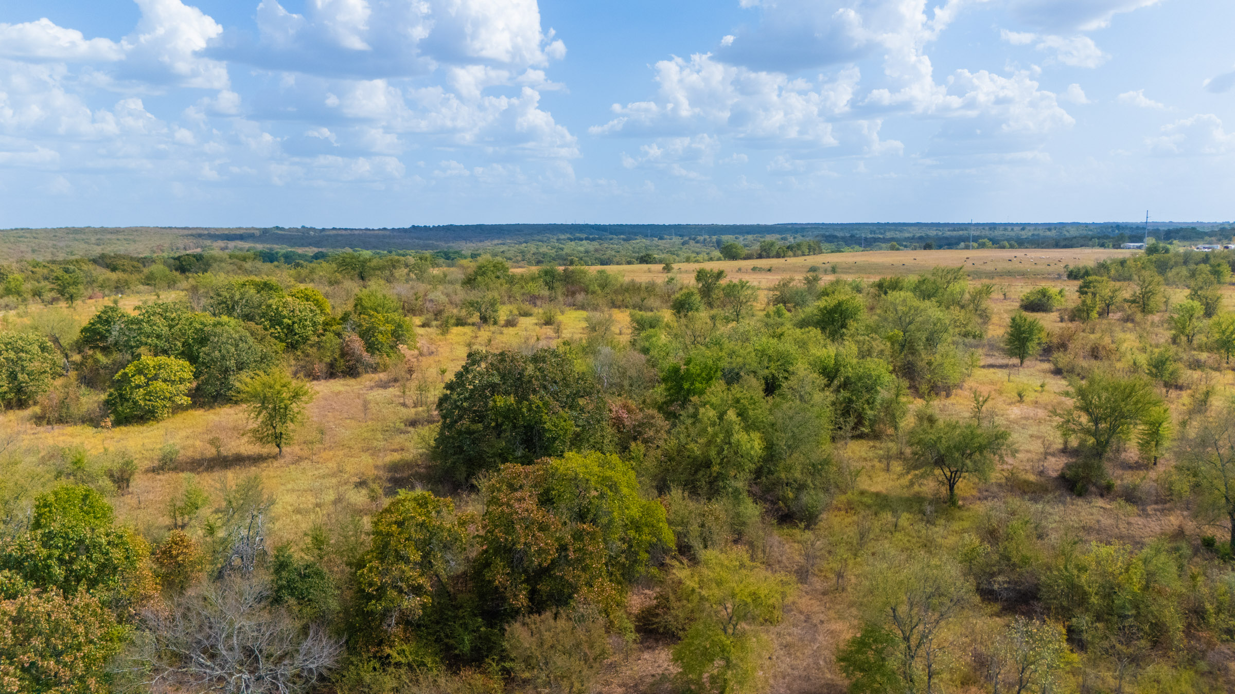 Gracyn Meadows Tract 19 photo 8