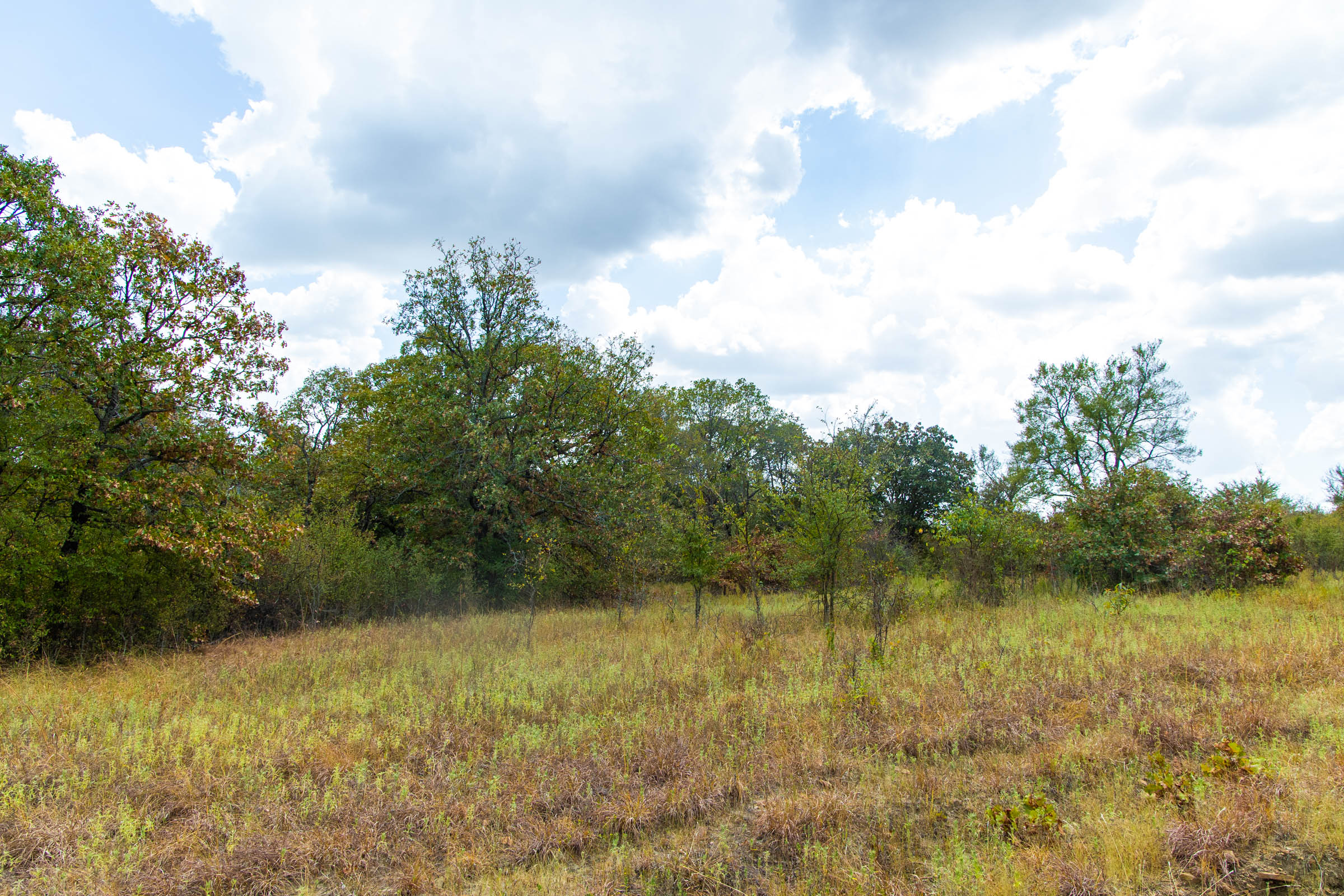 Gracyn Meadows Tract 19 photo 14