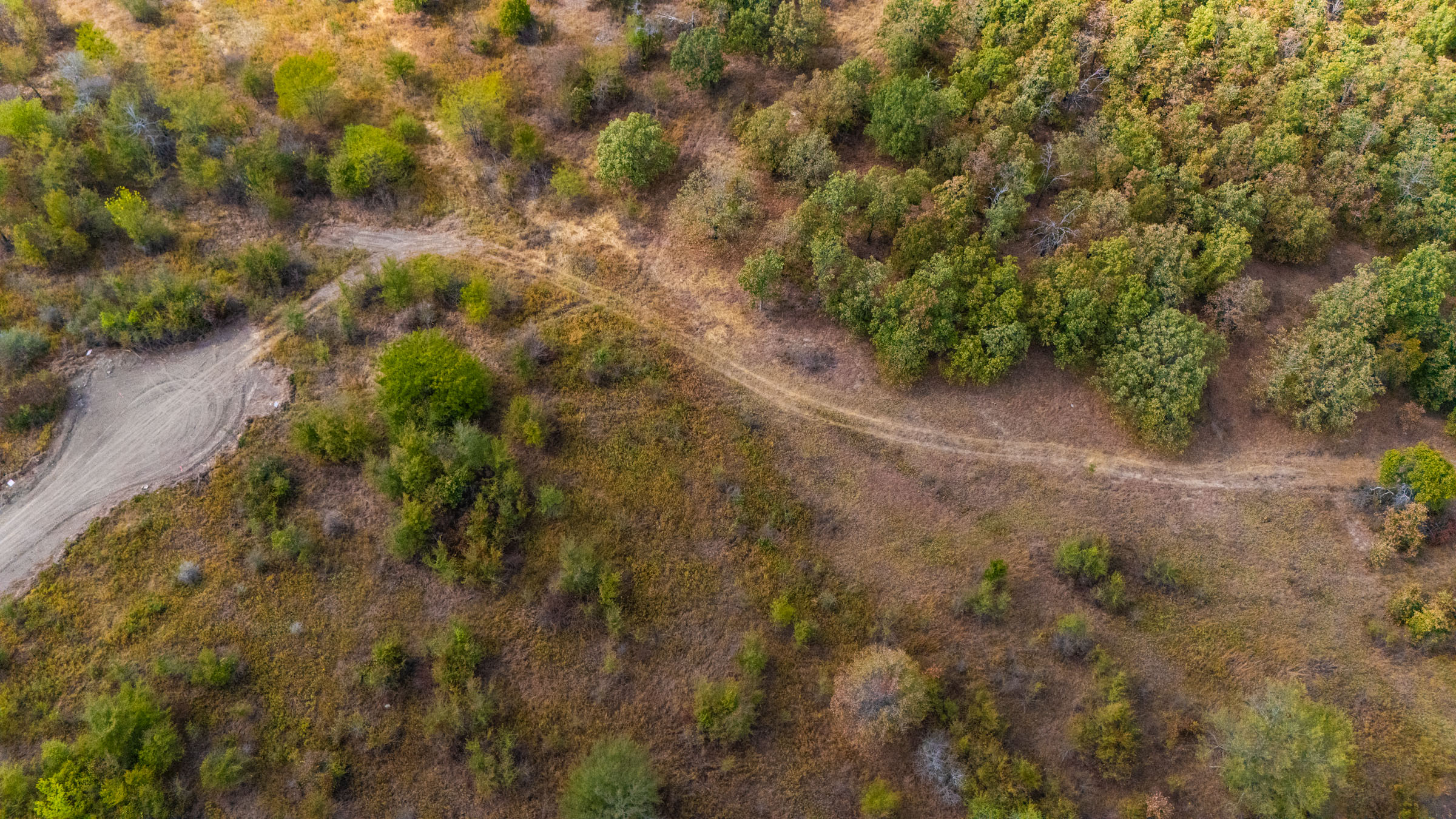 Gracyn Meadows Tract 19 photo 1
