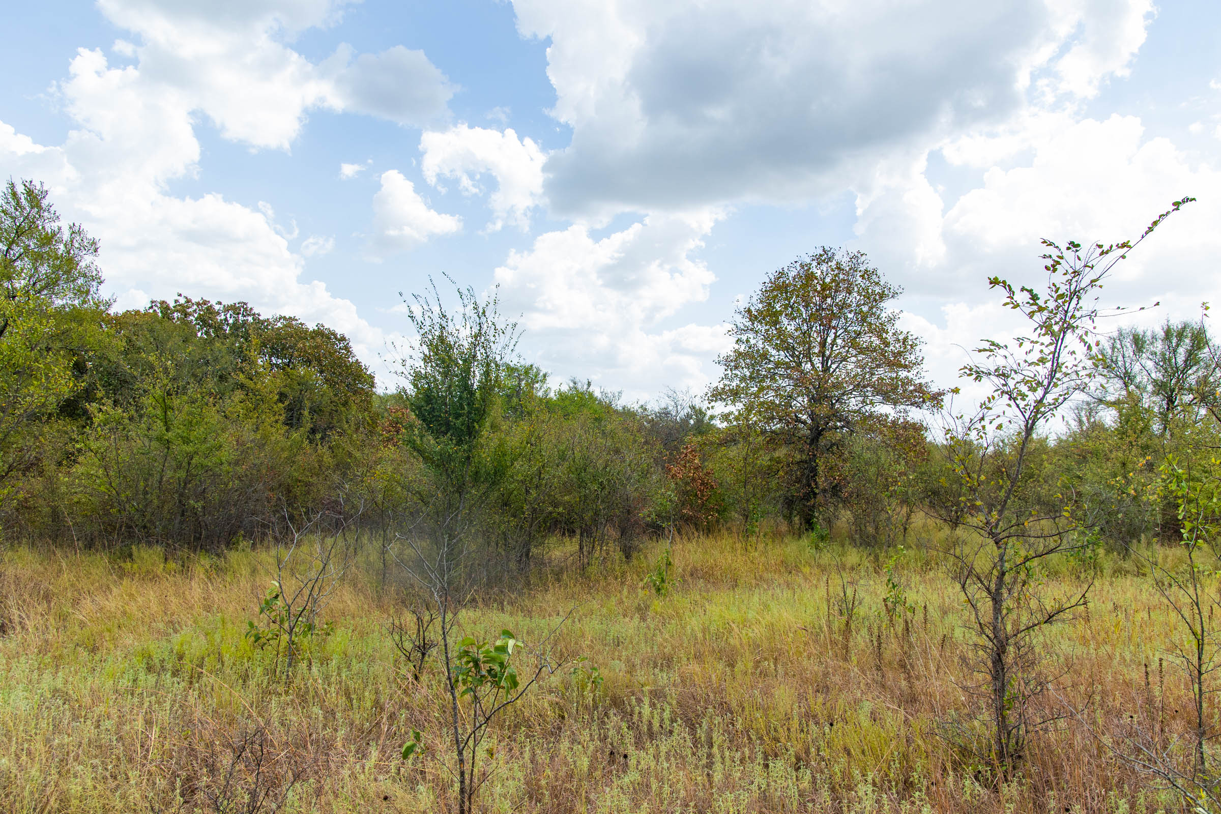 Gracyn Meadows Tract 19 photo 6