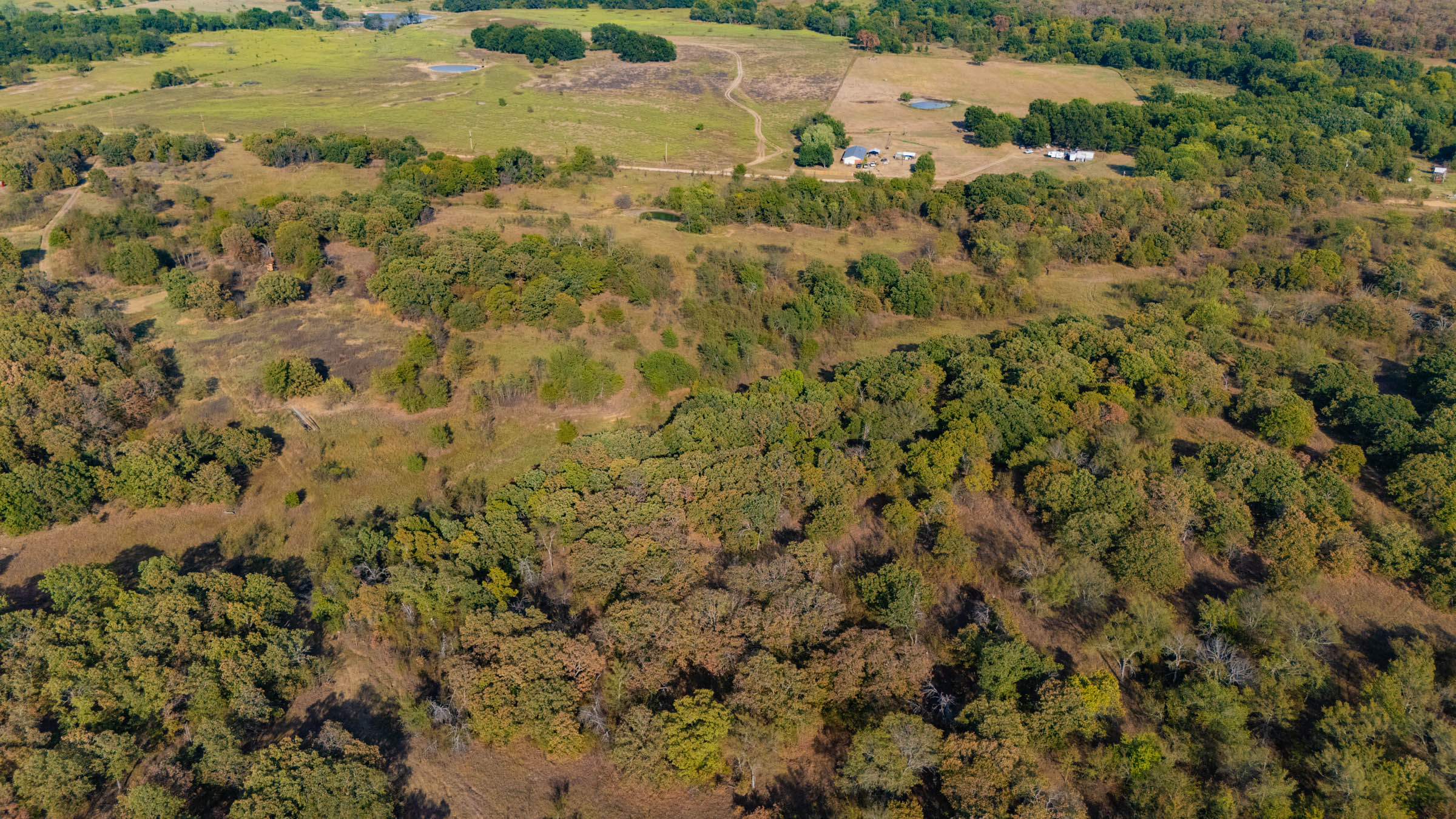 Gracyn Meadows Tract 19 photo 5