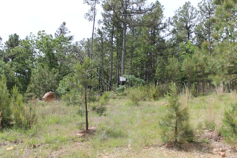 Indian Ridge – Phase II Tract 74 photo 1