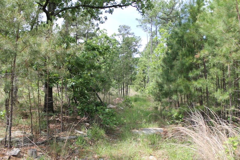 Indian Ridge – Phase II Tract 74 photo 2
