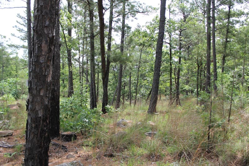 Indian Ridge – Phase II Tract 74 photo 4