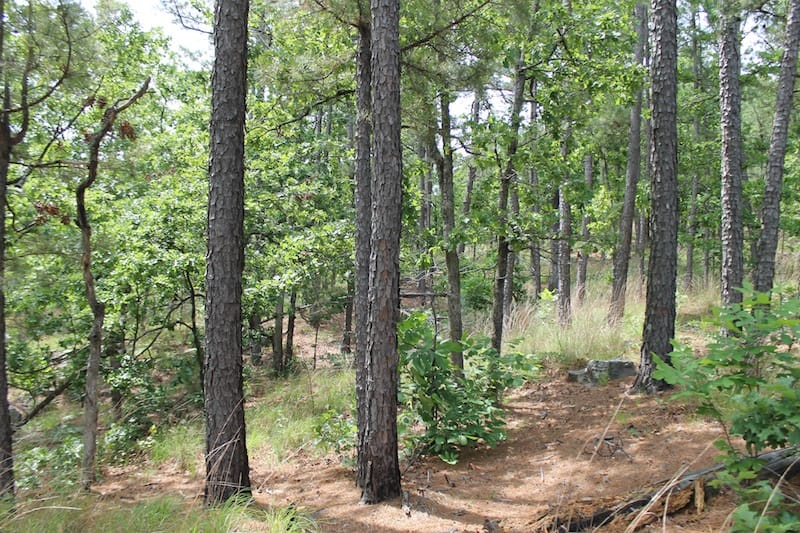 Indian Ridge – Phase II Tract 74 photo 6