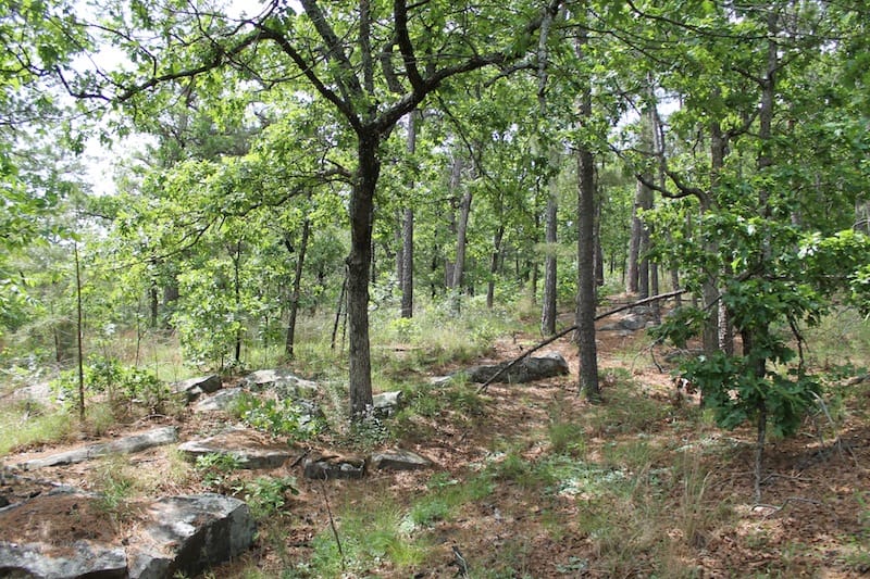Indian Ridge – Phase II Tract 74 photo 7